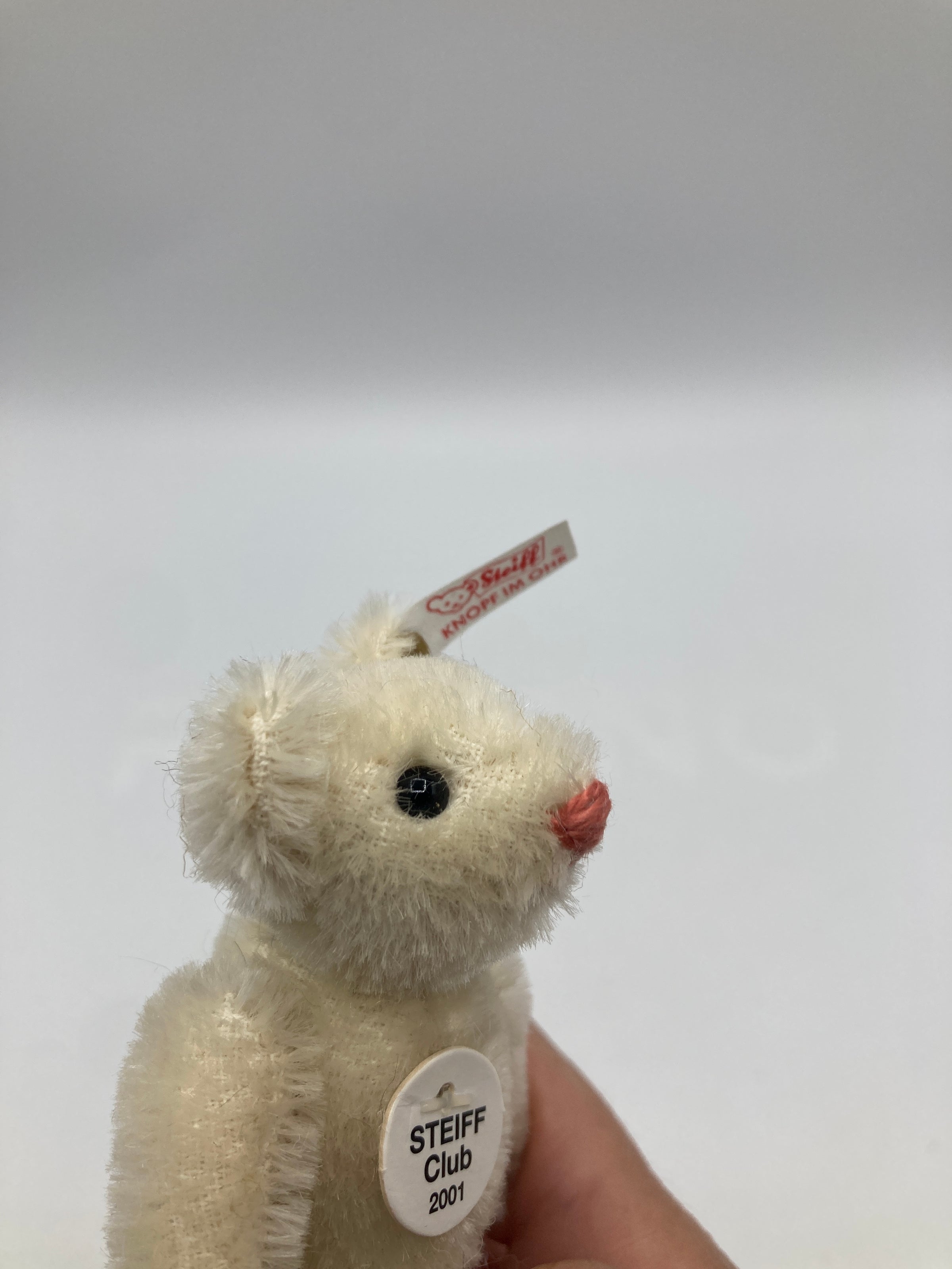 Steiff Fully Jointed Tiny 2001 Steiff Club Bear With All IDs | My Site