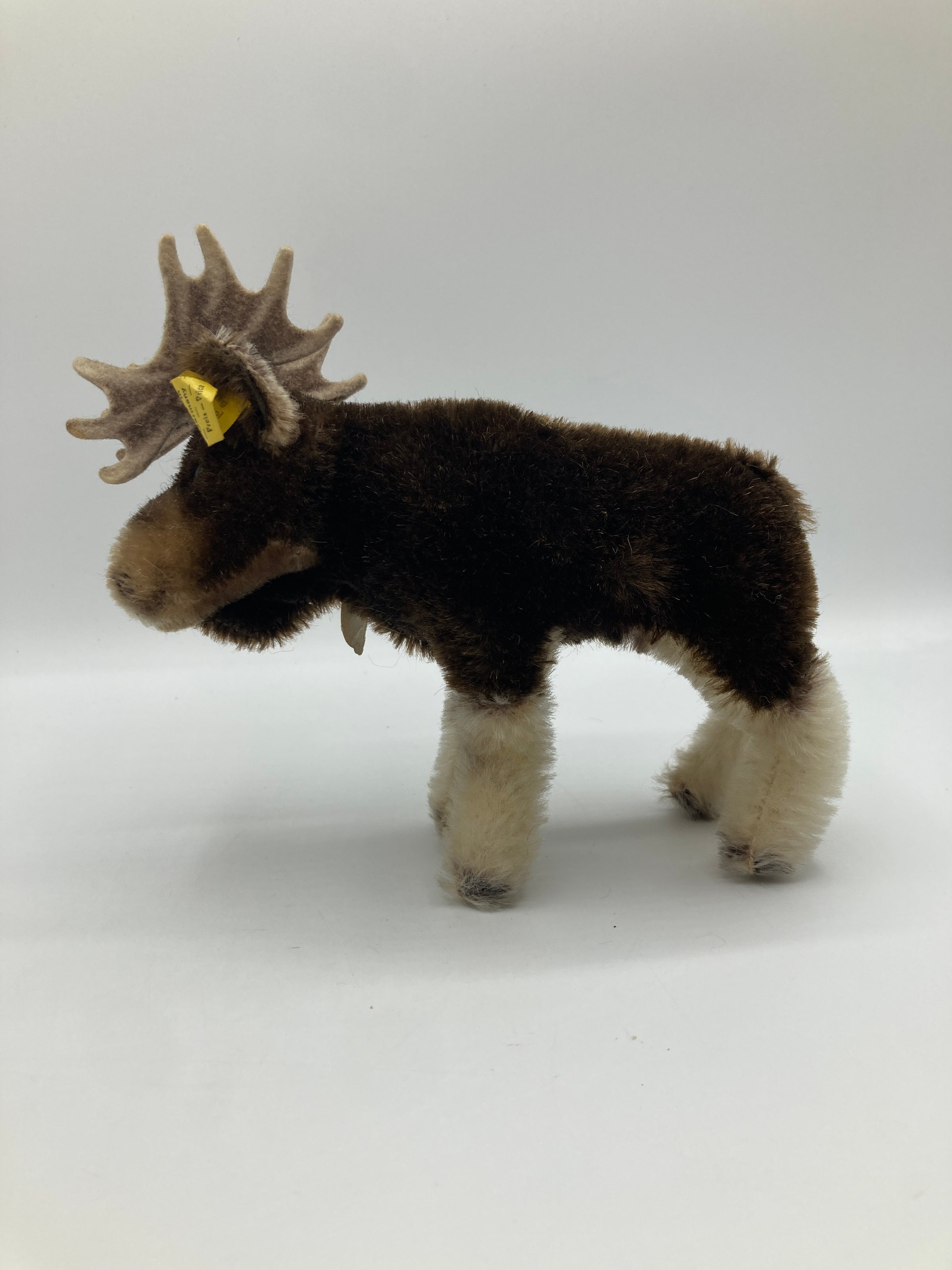 Steiff Smallest Mohair Moosy Moose With All IDs | My Site