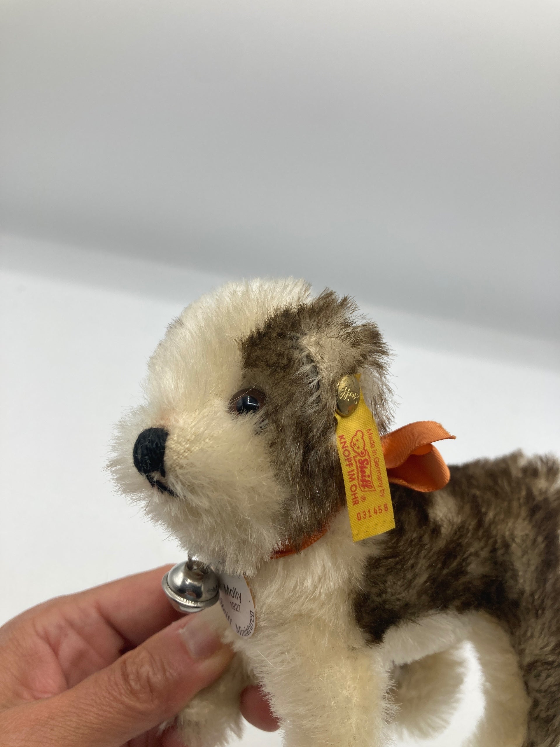Steiff Standing 1927 Molly The Puppy Replica With All IDs | My Site