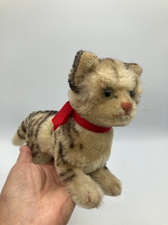 Cats | My Site