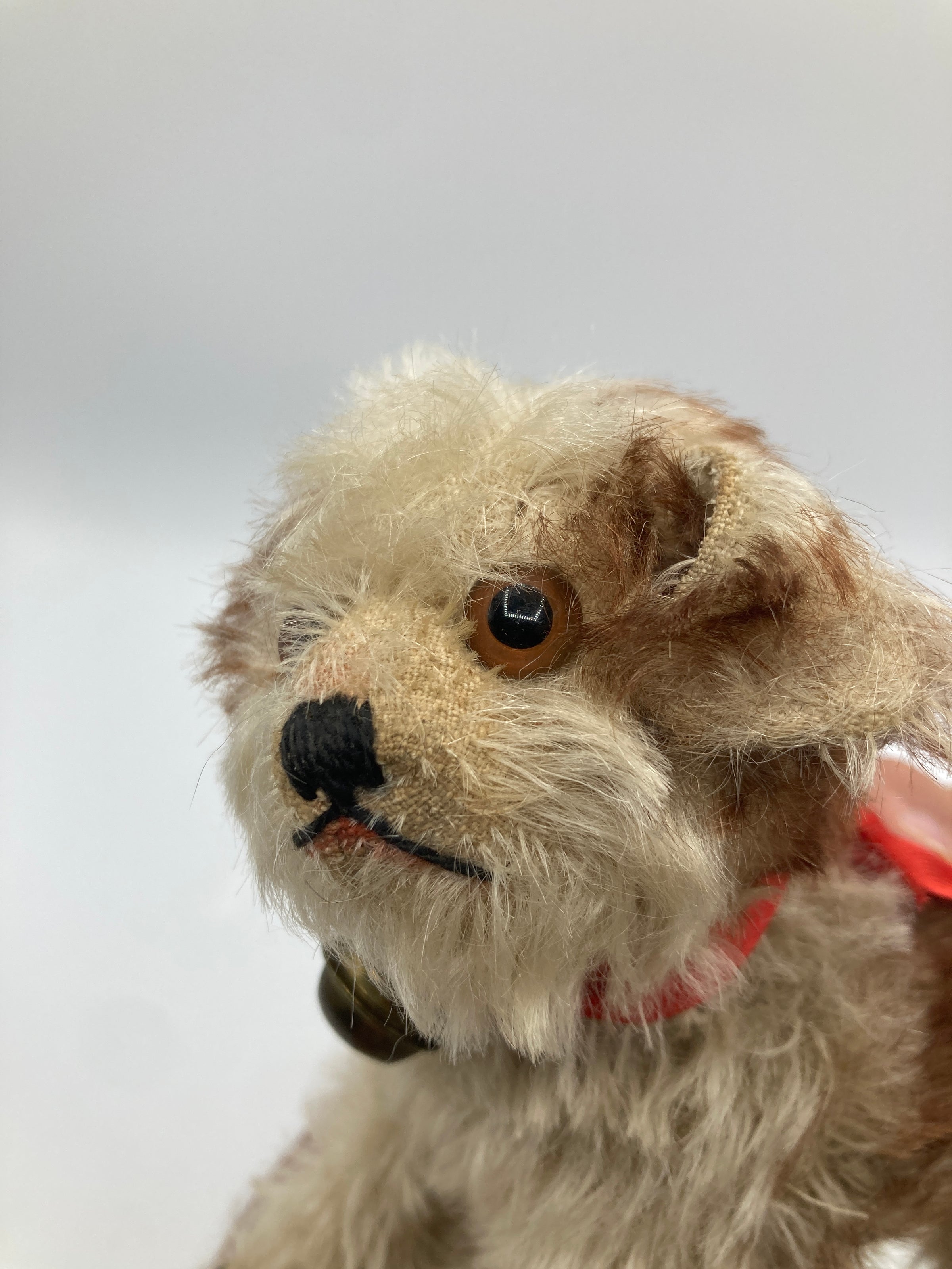 Steiff Prewar Very Rare Medium Sized Standing Molly Dog With ID