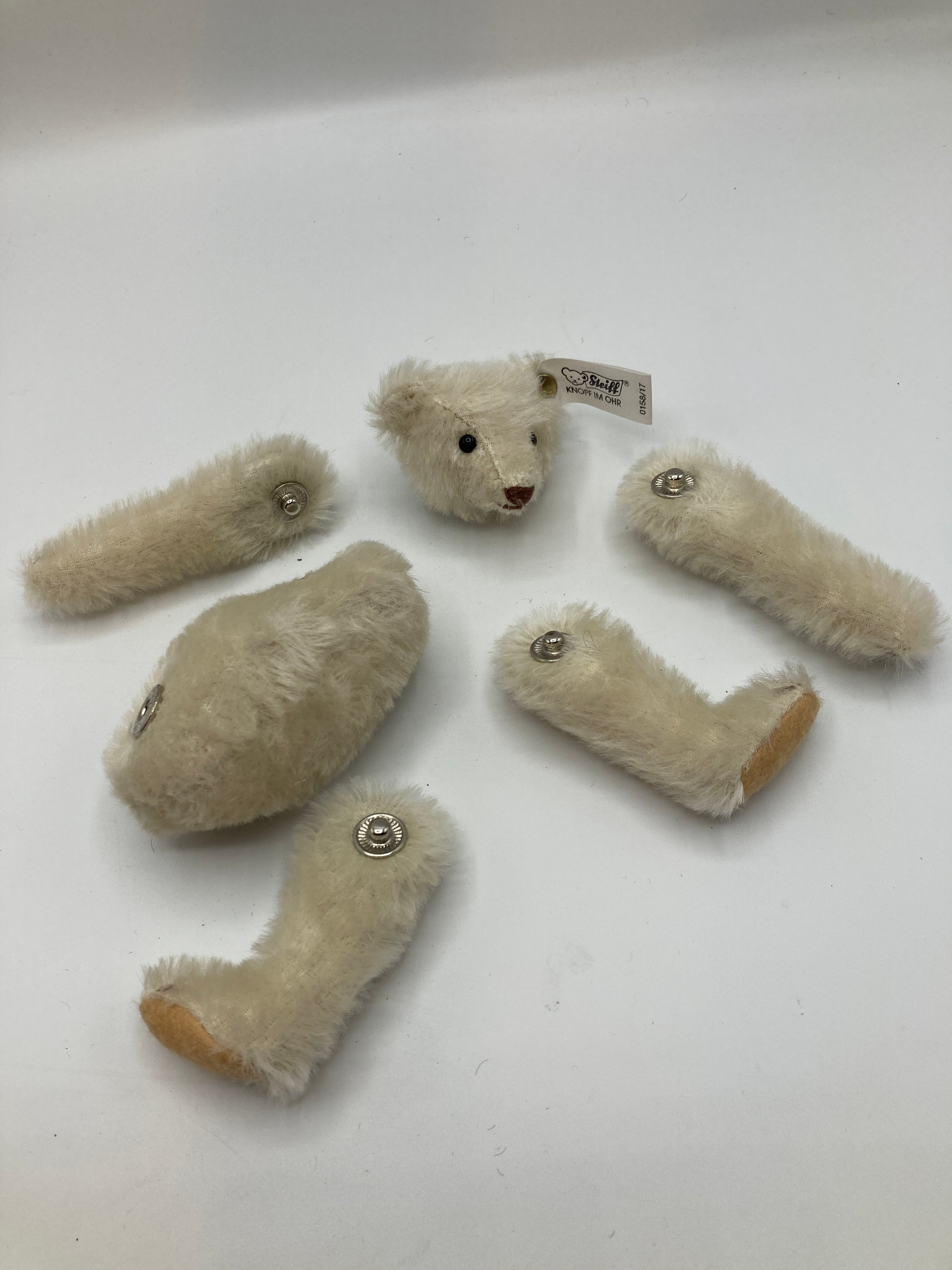 Steiff Mohair Snap A Part Teddy Bear 1909 Replica With All IDs