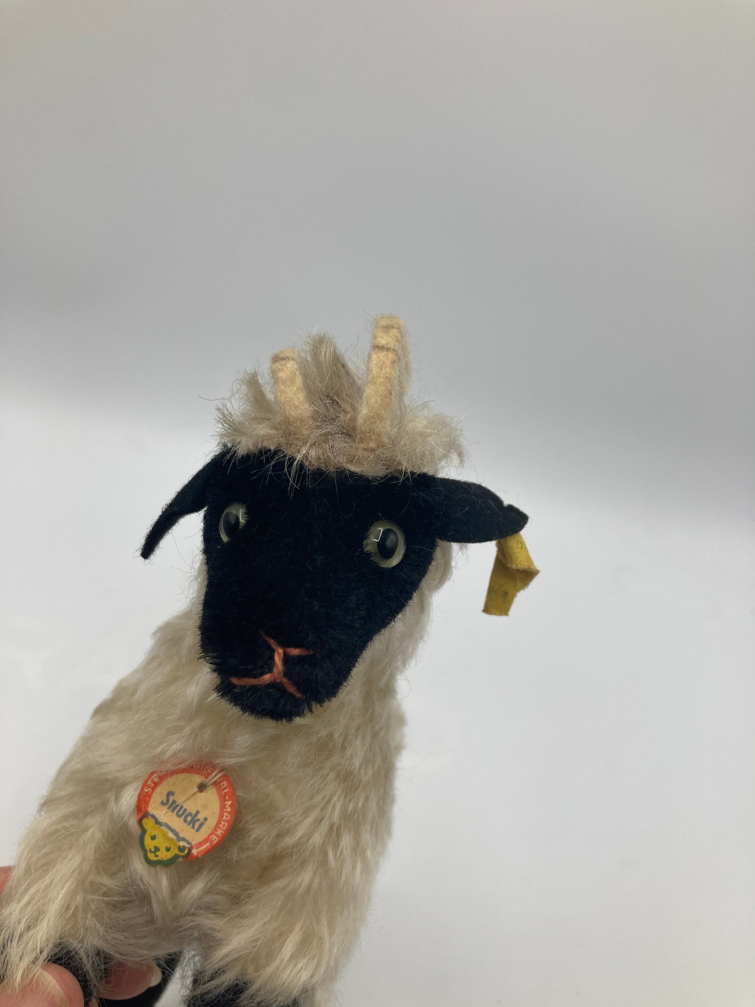Steiff Medium Sized Snucki Mountain Sheep With All IDs | My Site