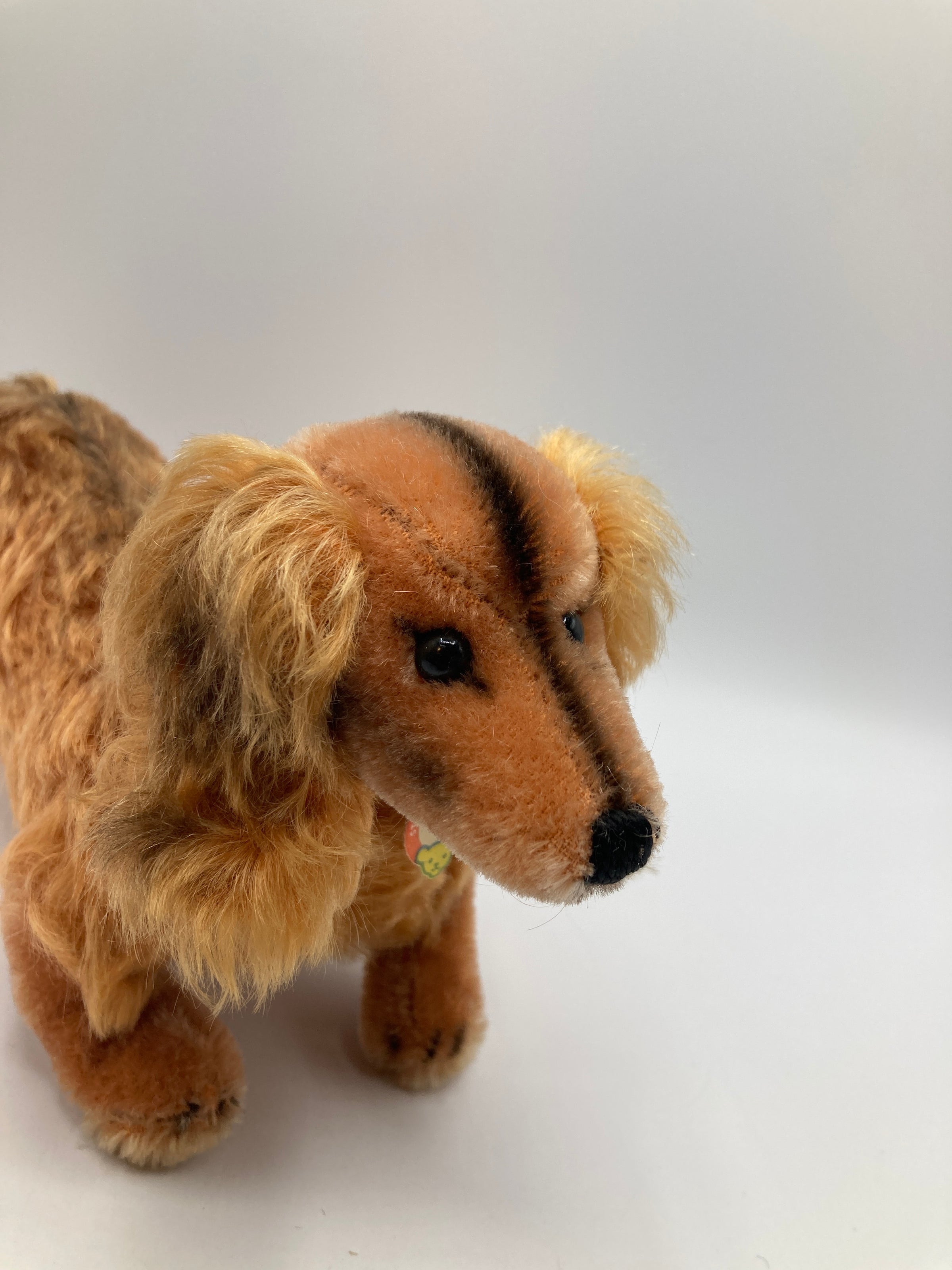 Steiff Smallest Mohair Waldi Dachshund With All IDs | My Site