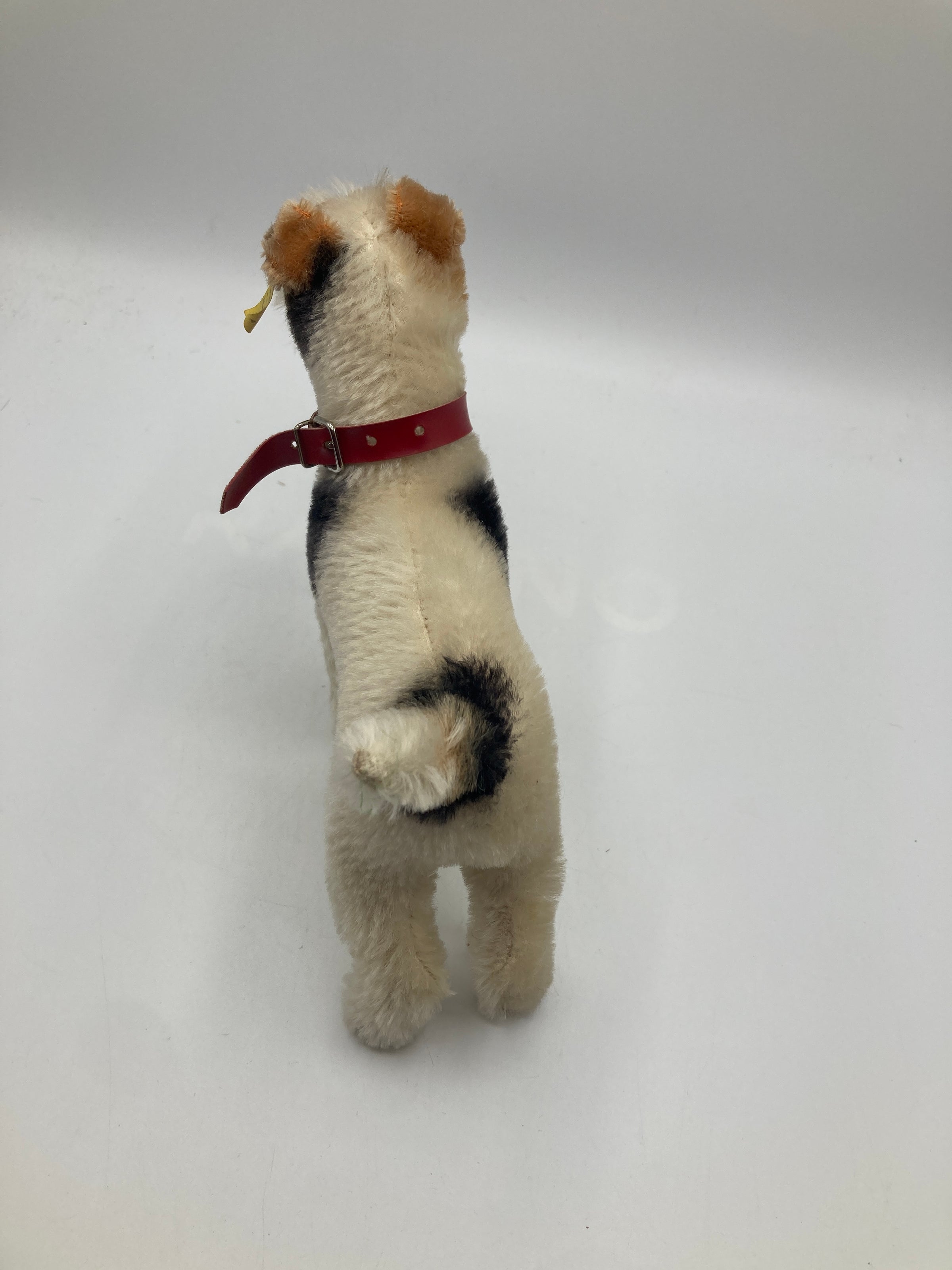 Steiff Medium Sized Foxy Fox Terrier Dog With All IDs | My Site