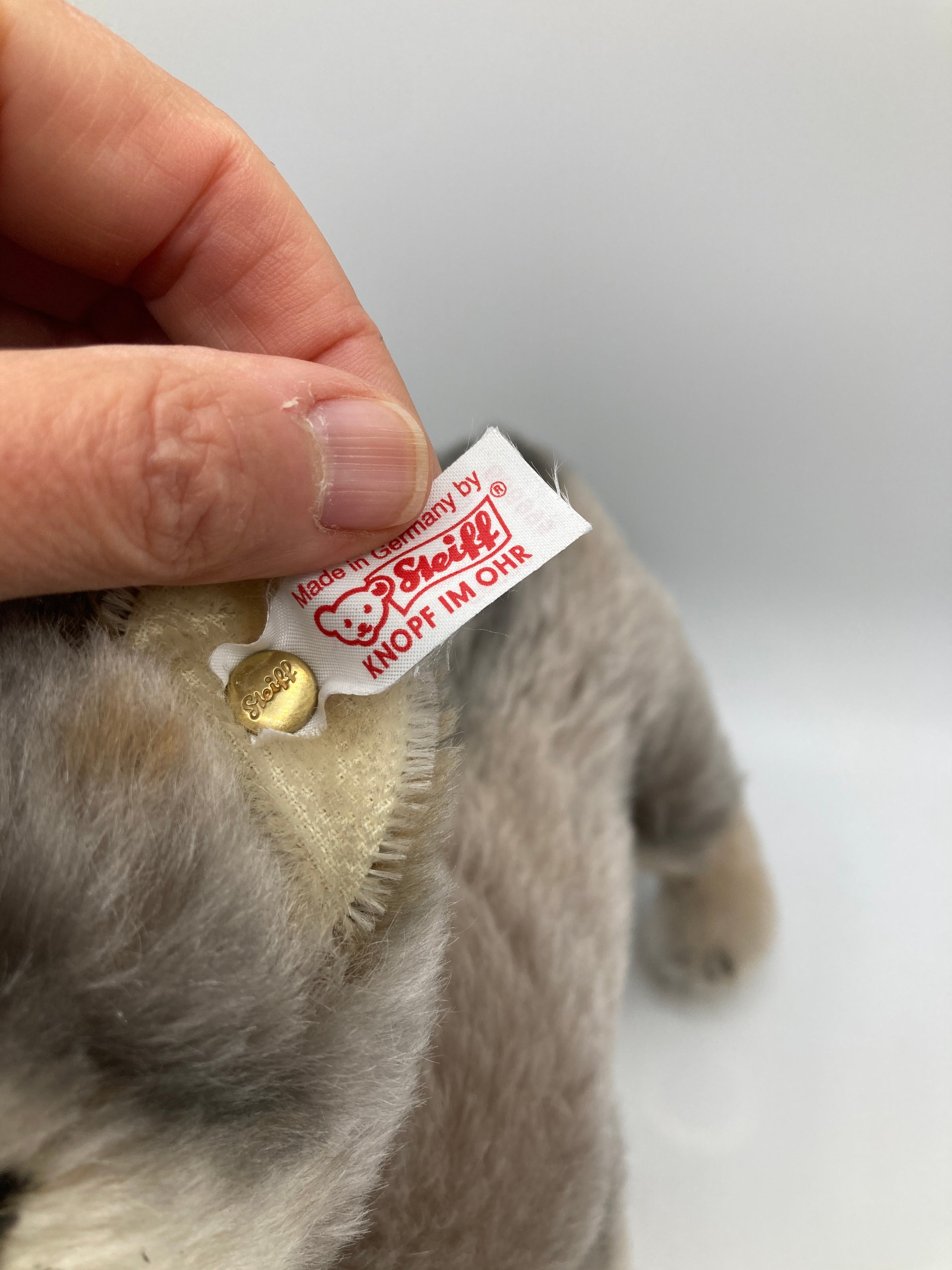Steiff Standing Grey Mohair Wolf With All IDs | My Site