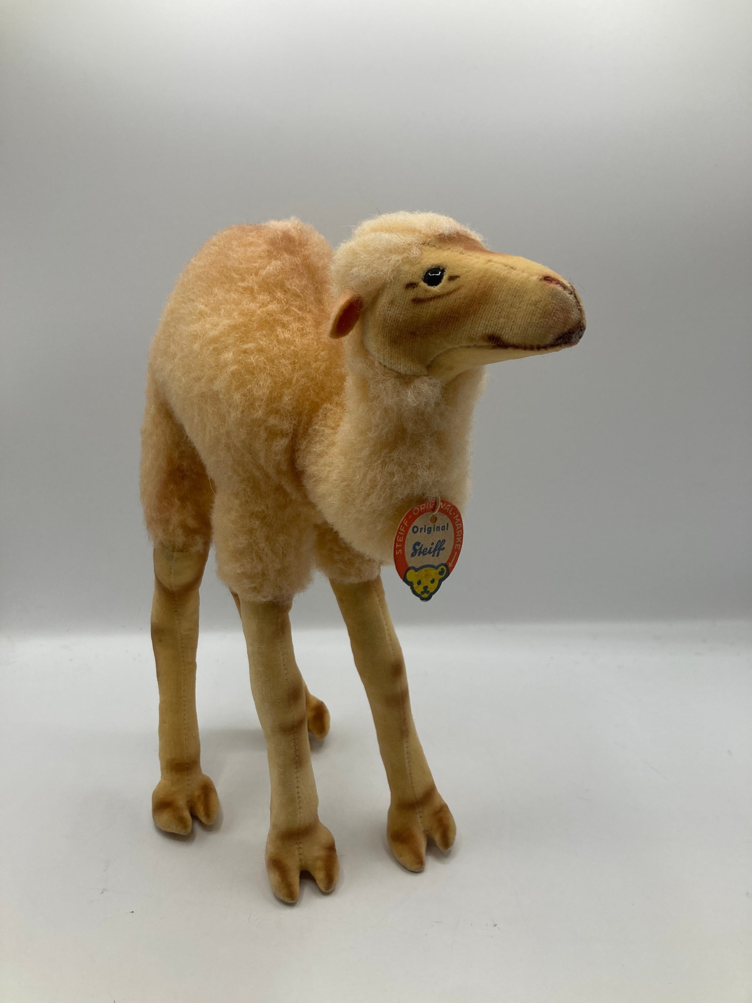 Steiff Almost Largest Wool Plush and Velvet Camel With All IDs