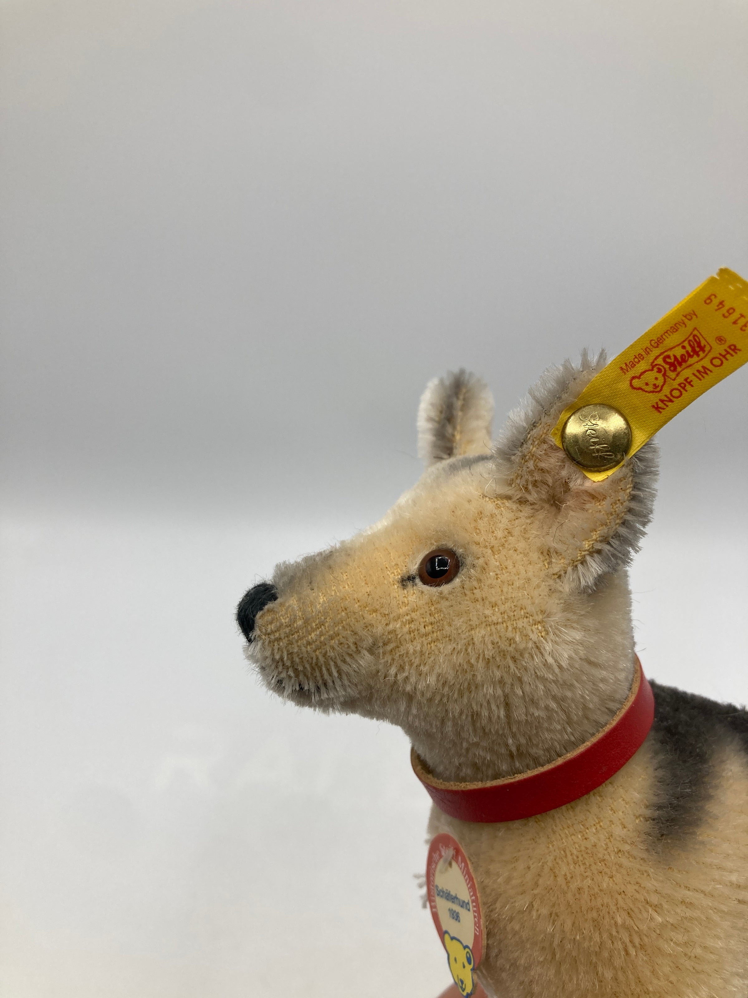 Steiff Mohair 1936 German Shepherd Dog With All IDs | My Site