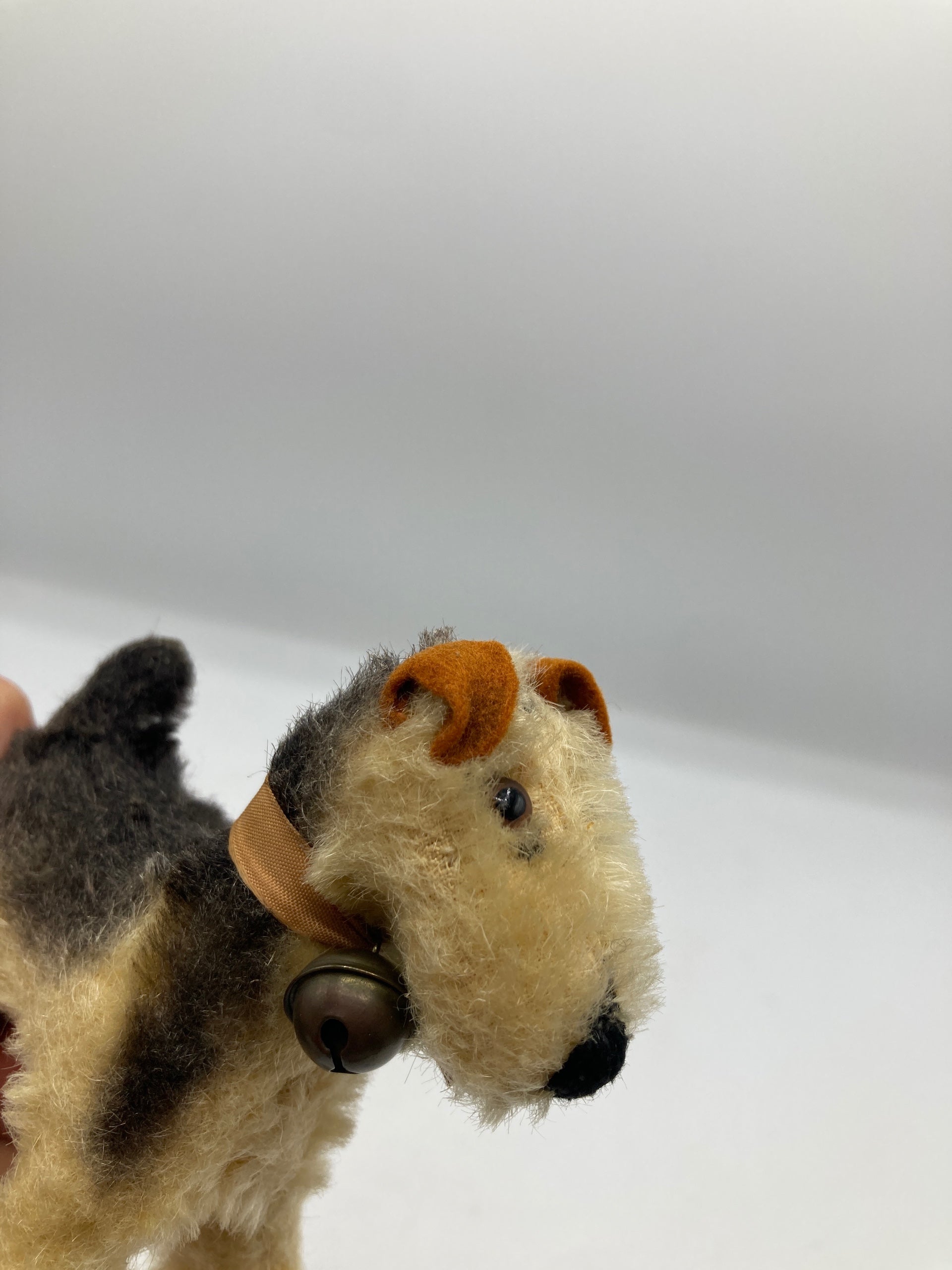 シュタイフ ミニテリア テリー Terry Steiff Steiff Almost Smallest Terry Terrier Dog | My Site