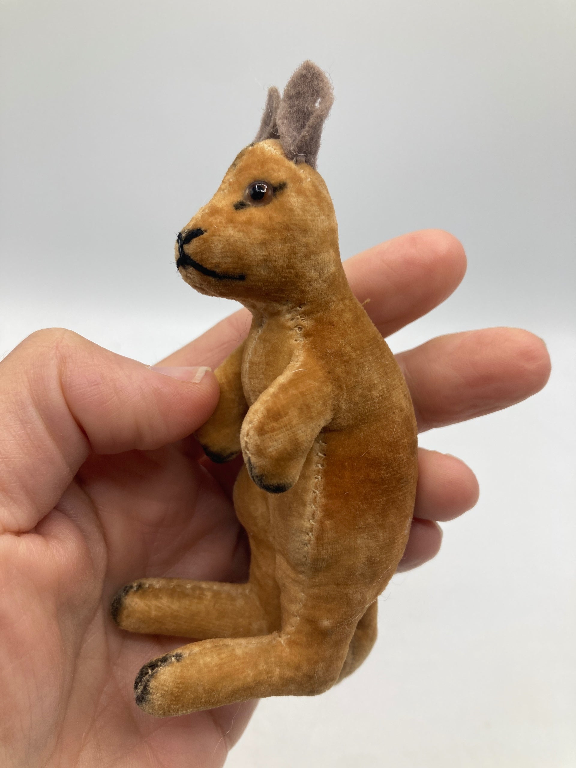 Steiff Almost Largest Sized Kangaroo With Joey | My Site
