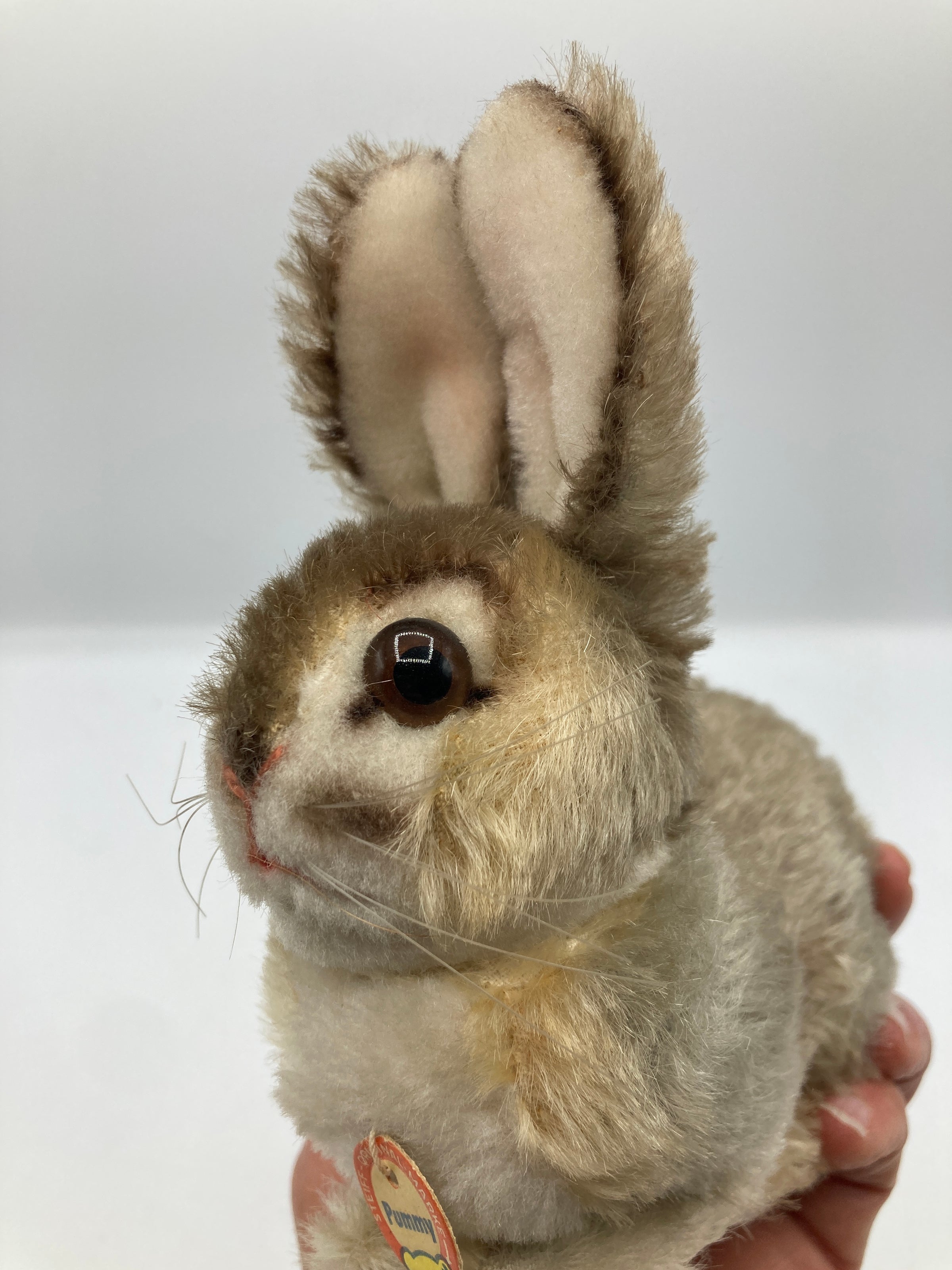 Steiff Smallest Mohair Pummy Rabbit With ID | My Site