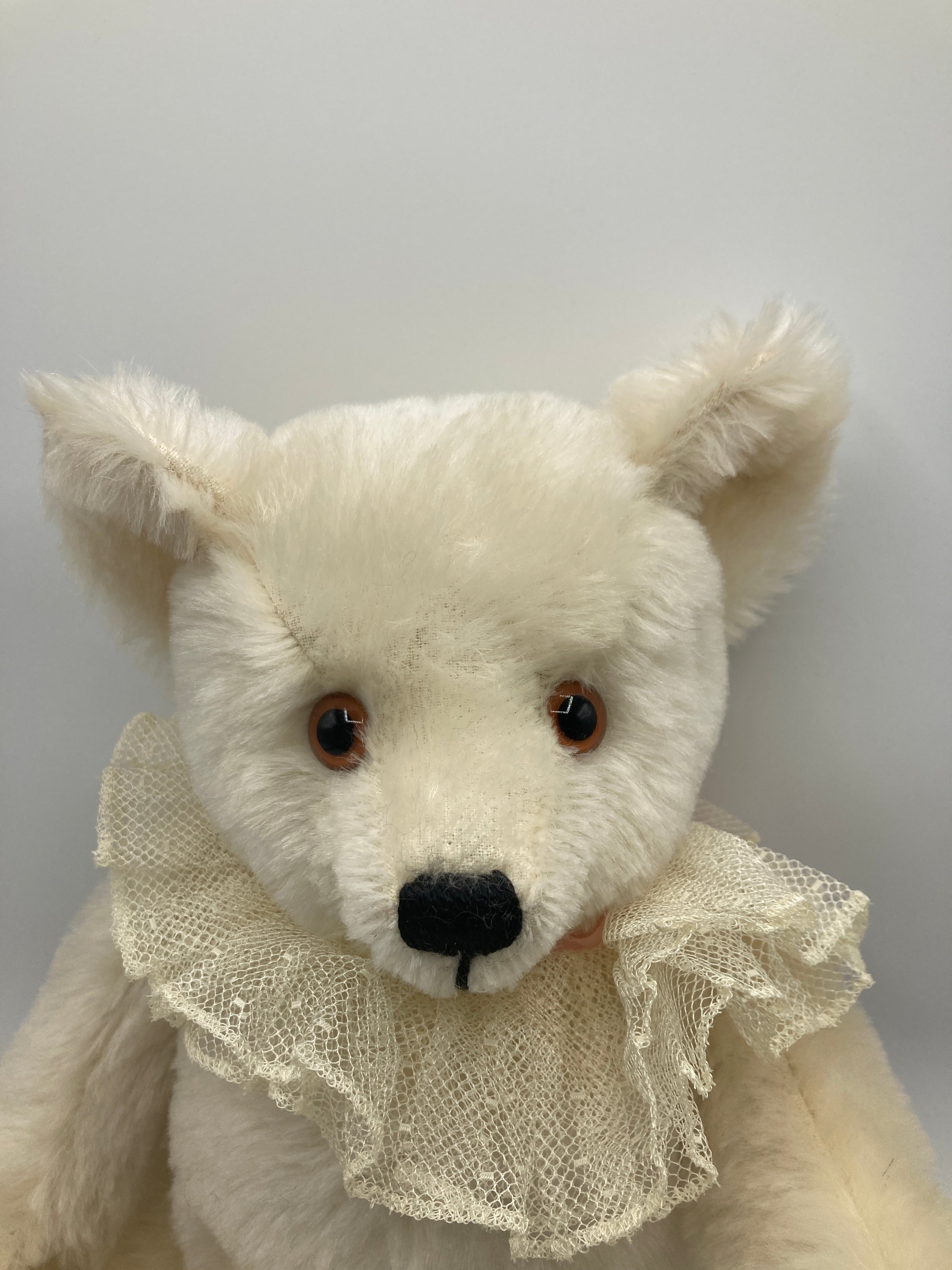 Steiff White Ophelia Teddy Bear With All IDs | My Site