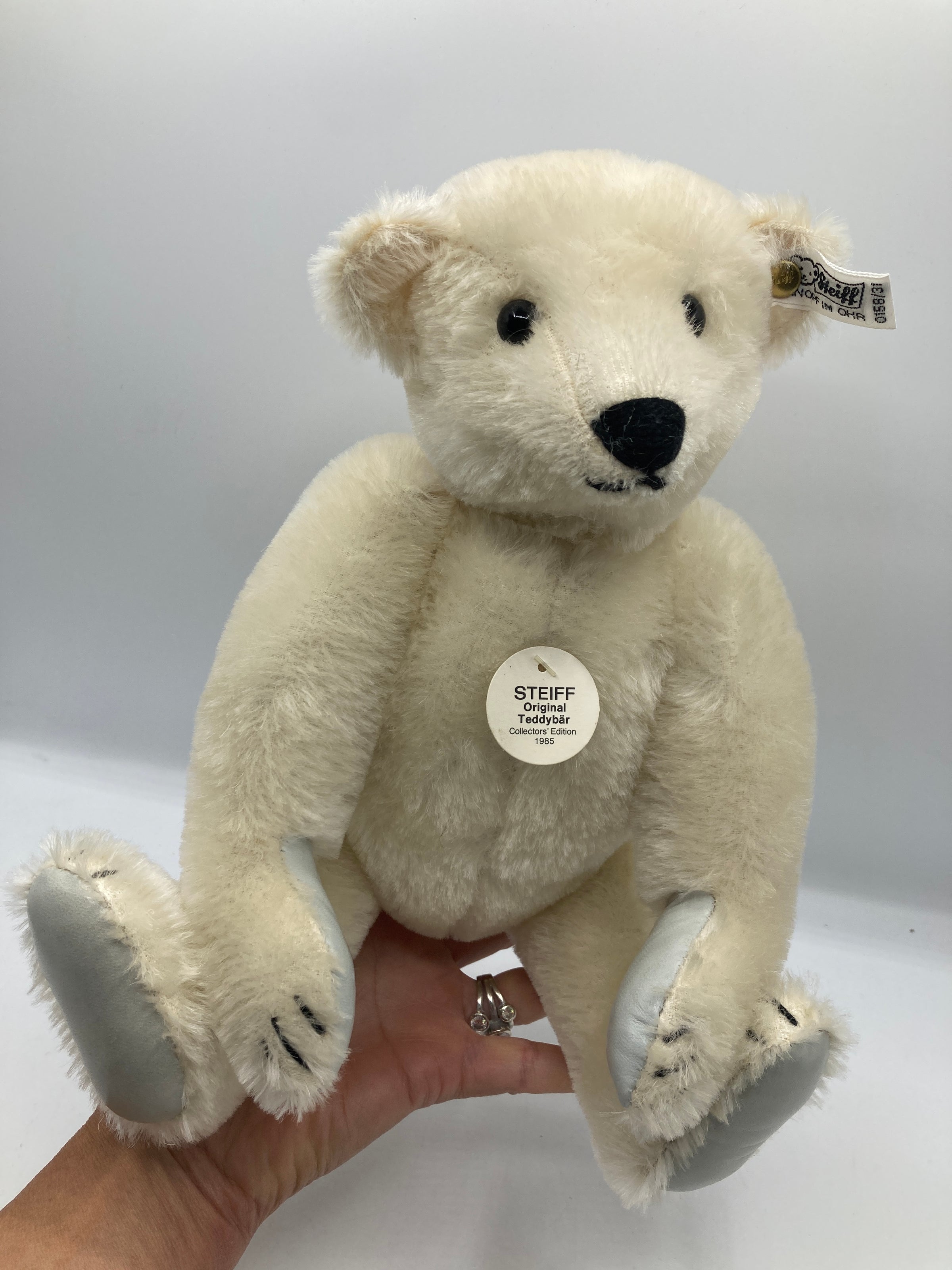Steiff Medium Sized White Mohair Margaret Strong Bear With All IDs Steiff Medium Sized White Mohair Margaret Strong Bear With All IDs