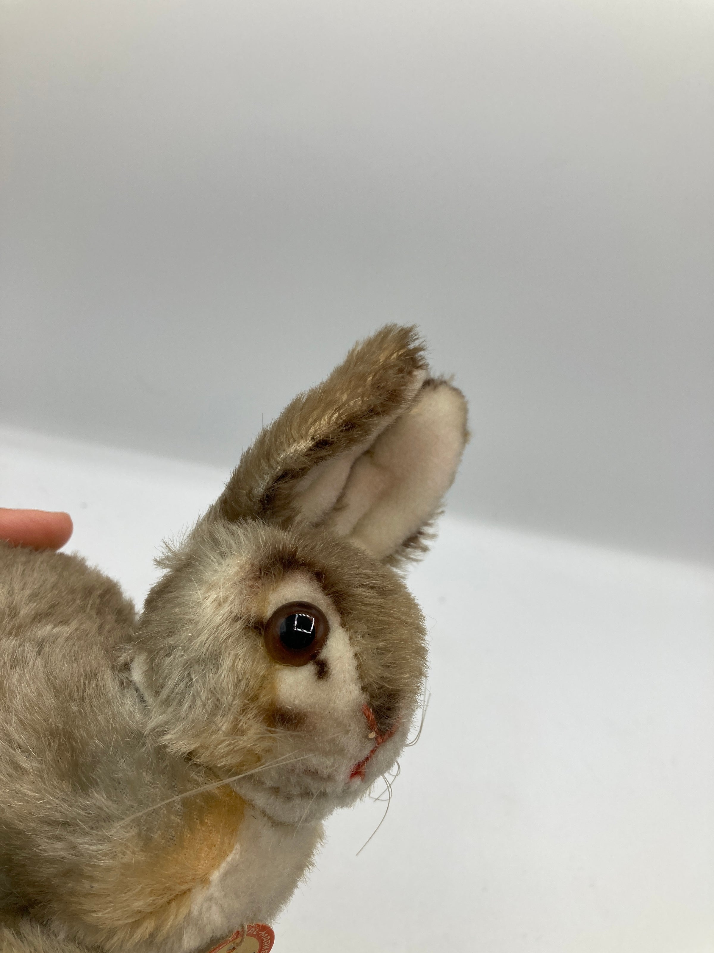 Steiff Smallest Mohair Pummy Rabbit With ID | My Site