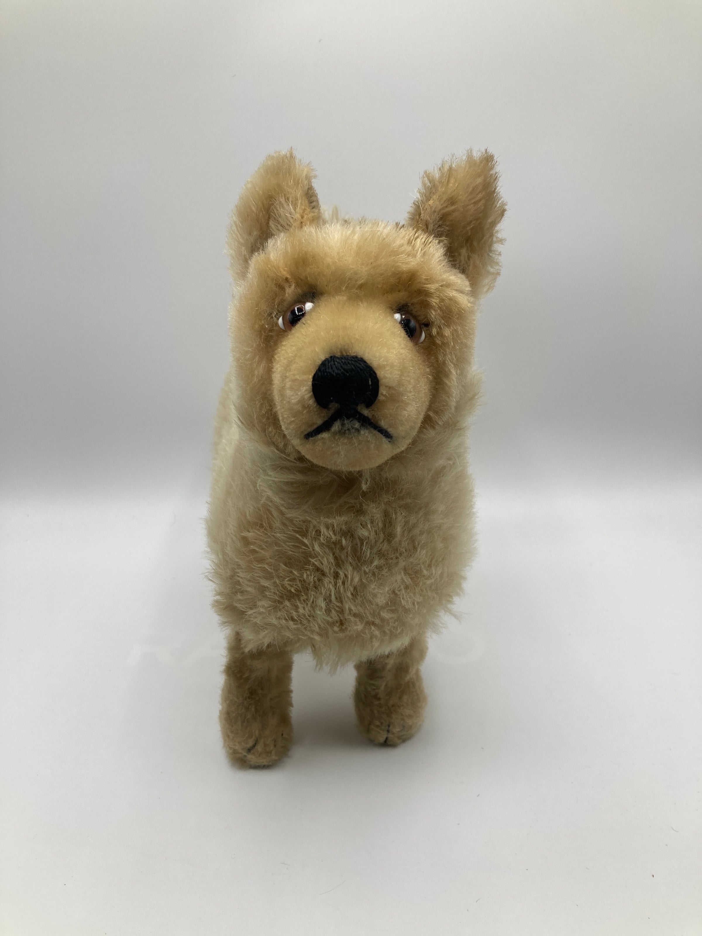 Steiff Largest And Incredibly Rare Mohair Laika the Space Dog | My
