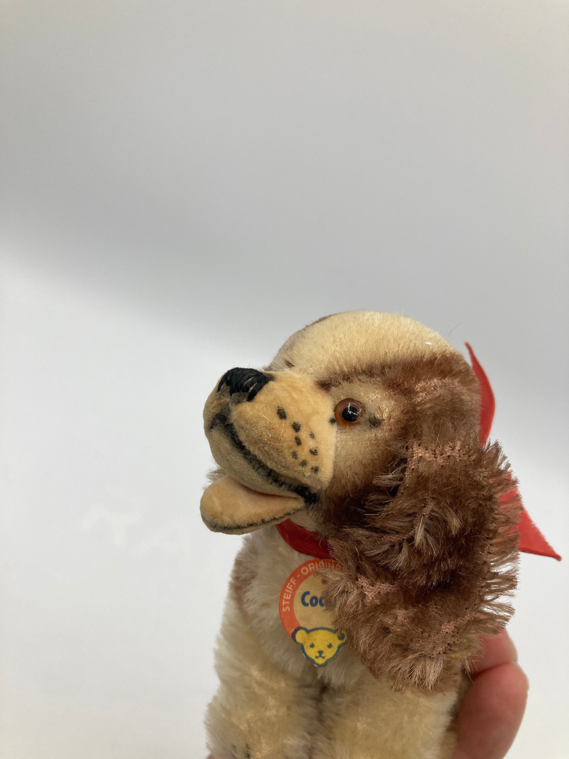 Steiff - シュタイフ★Cockie Cocker Spaniel★初期/コッカースパニエル アンティークシュタイフ コッカースパニエル Steiff 「Cockie
