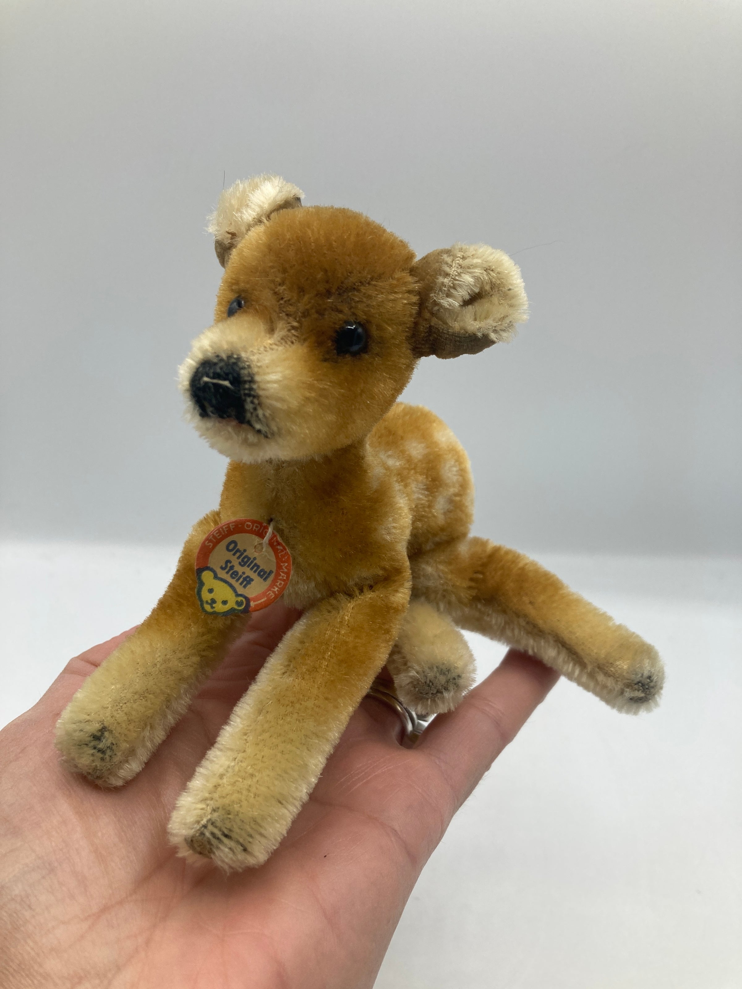 My SteiffLife | My Site