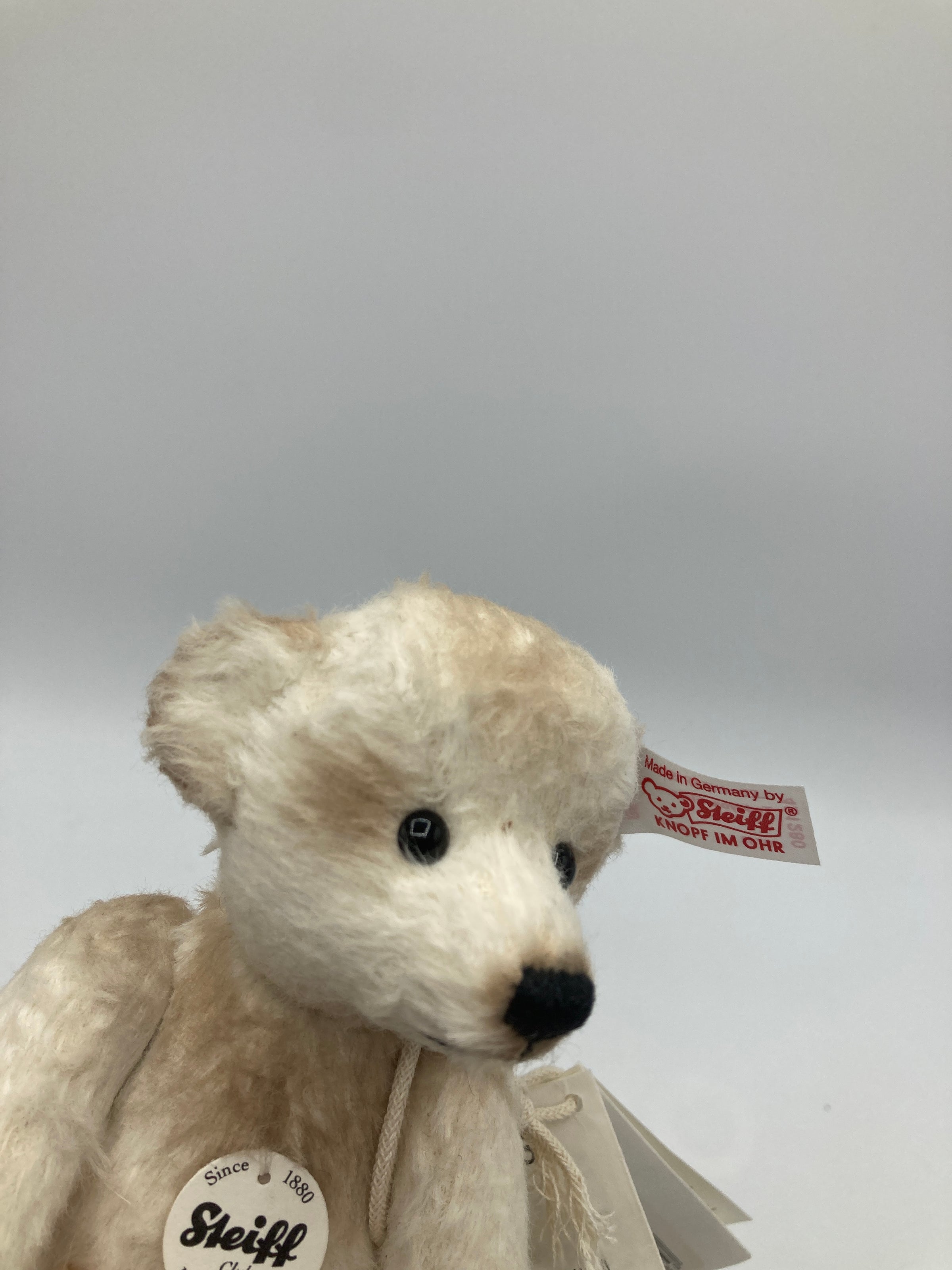 Steiff 2013 White and Tan Flora Special Event Teddy Bear With All