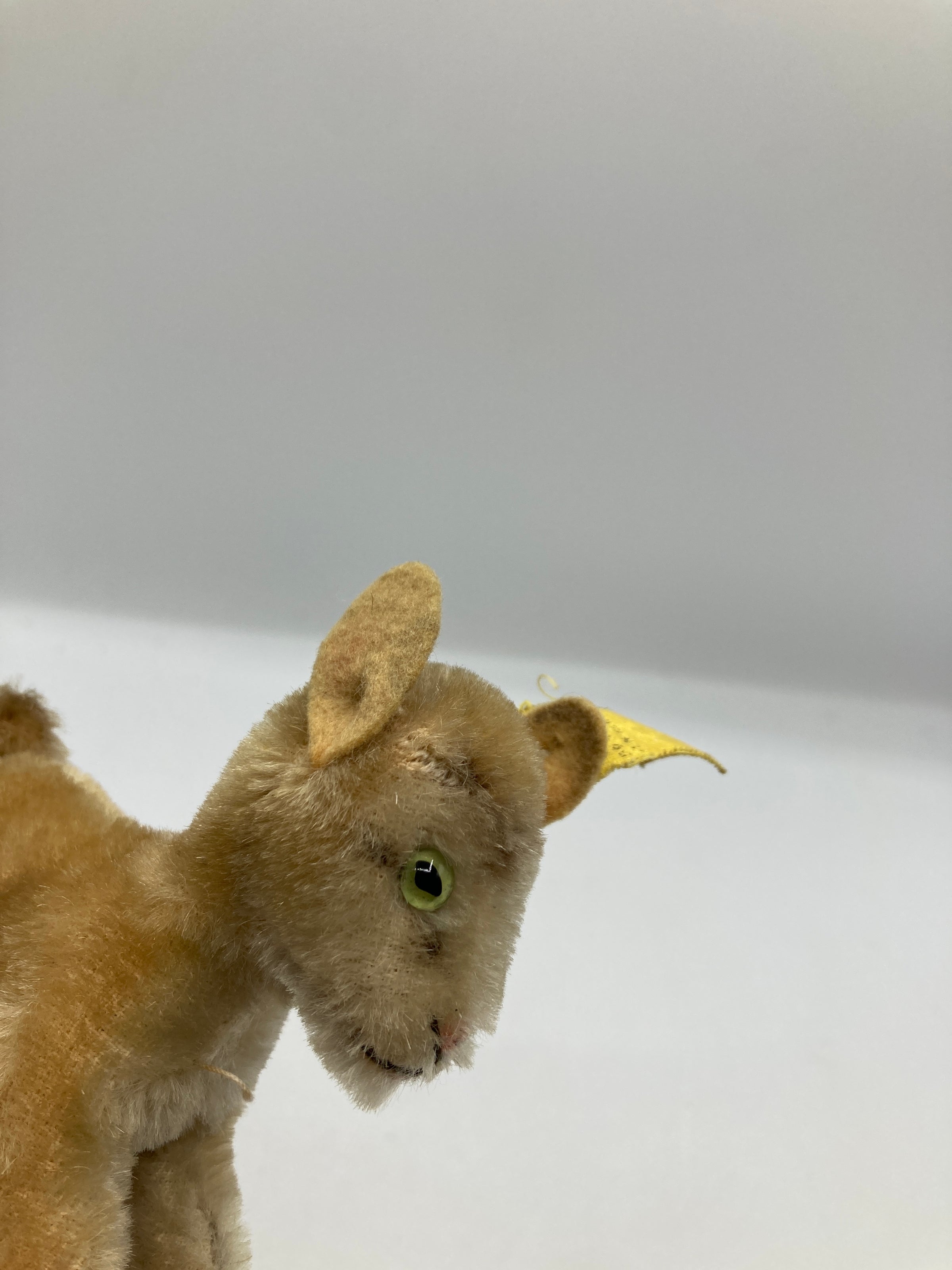 * vintage steiff ୨୧ * 立ち姿の かわいいウサちゃん Steiff Smallest Mohair Zicky Goat With IDs | My Site