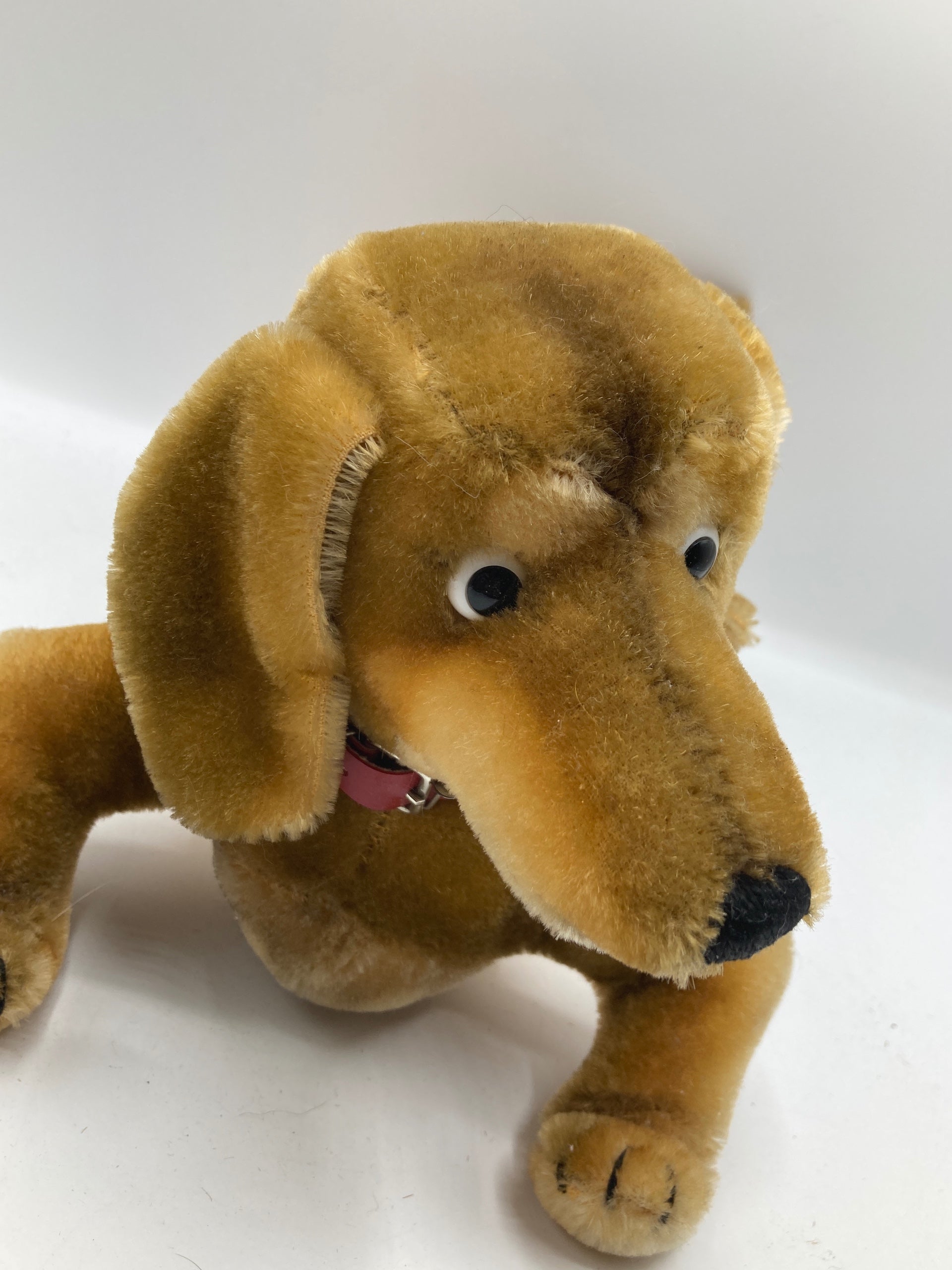 Steiff Medium Sized Hexie Dachshund With IDs | My Site