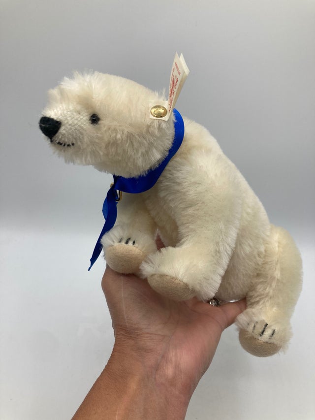 Bears | My Site