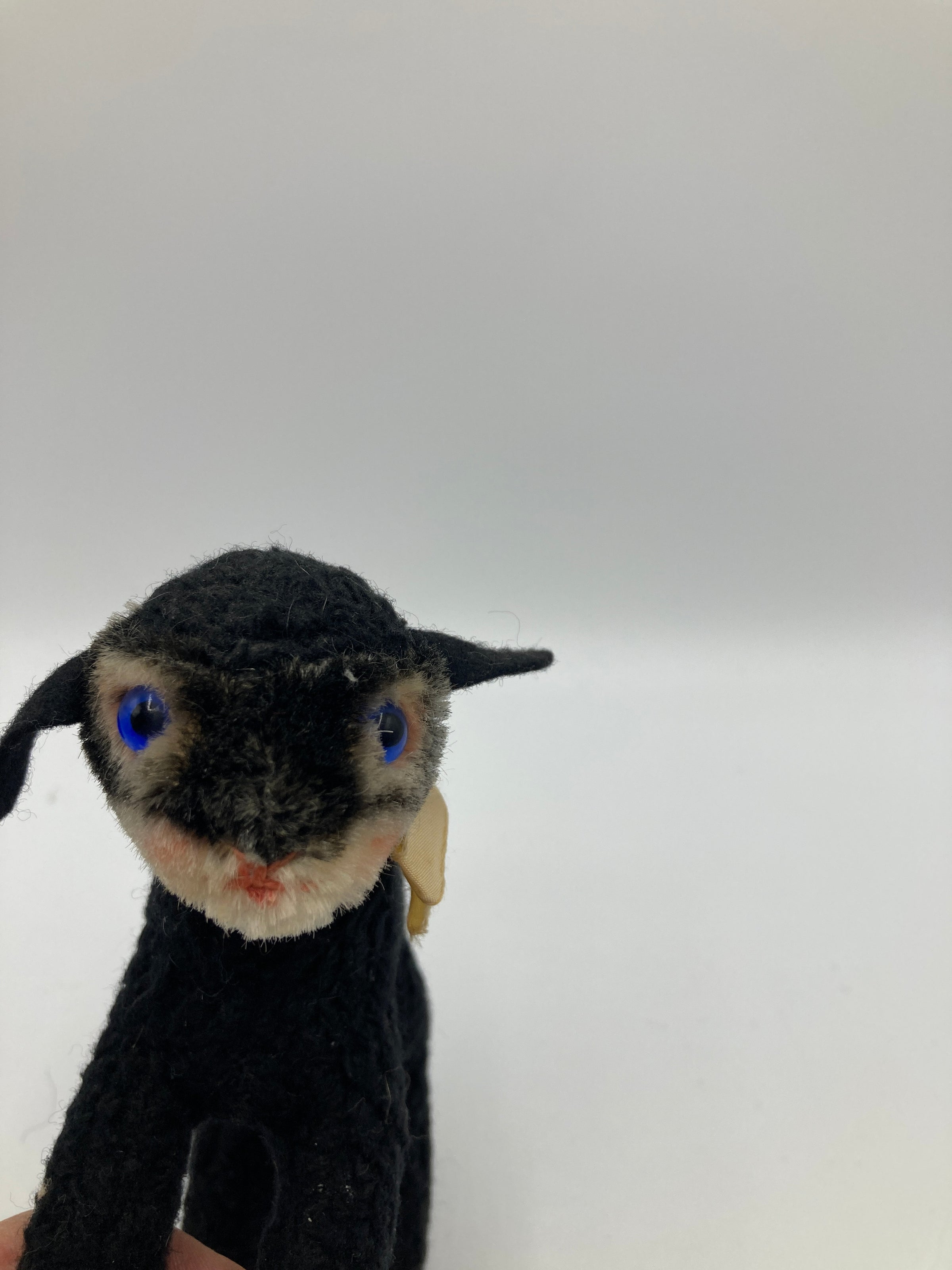Steiff Medium Sized Swapl Lamb | My Site