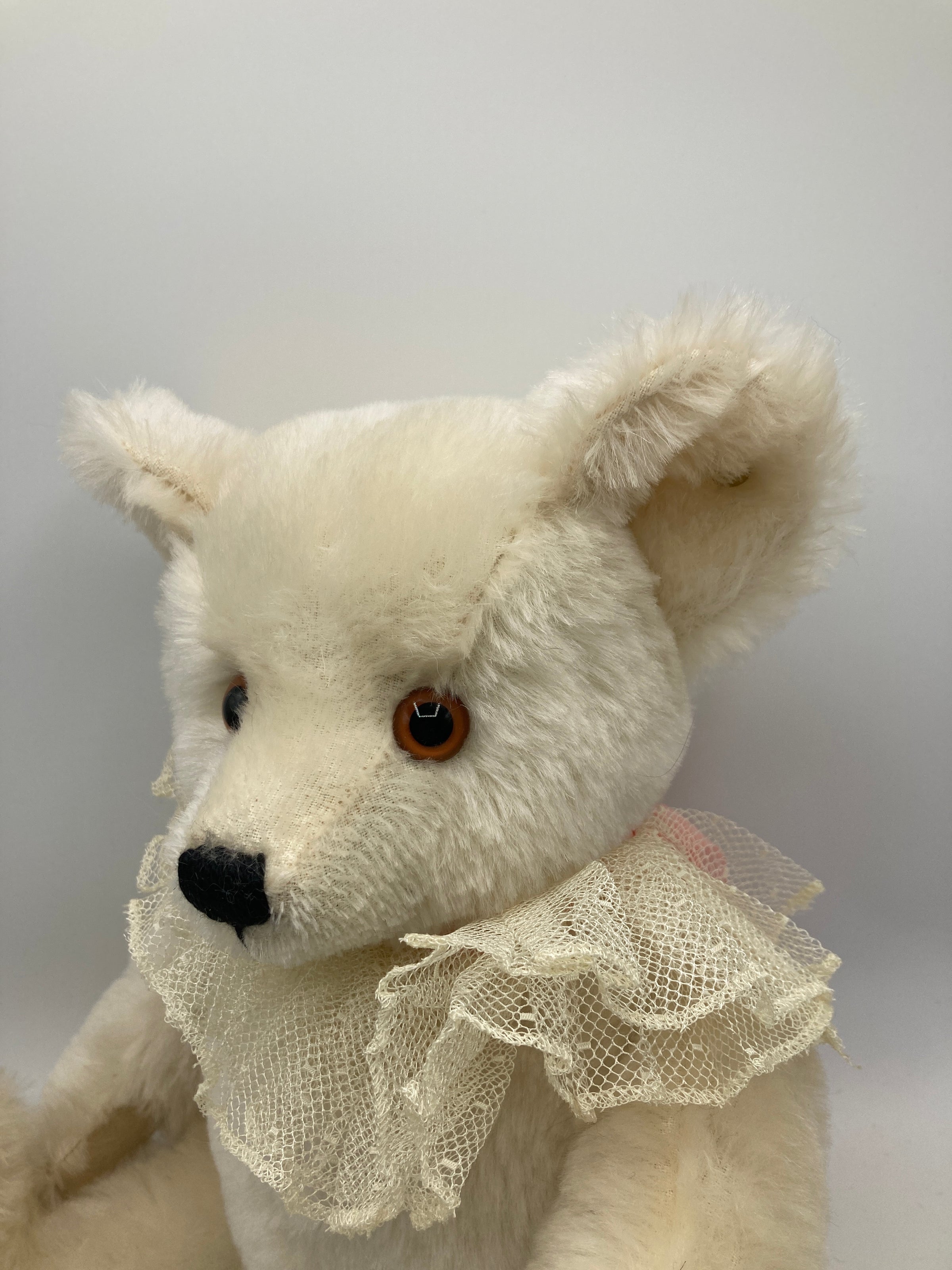 Steiff White Ophelia Teddy Bear With All IDs | My Site