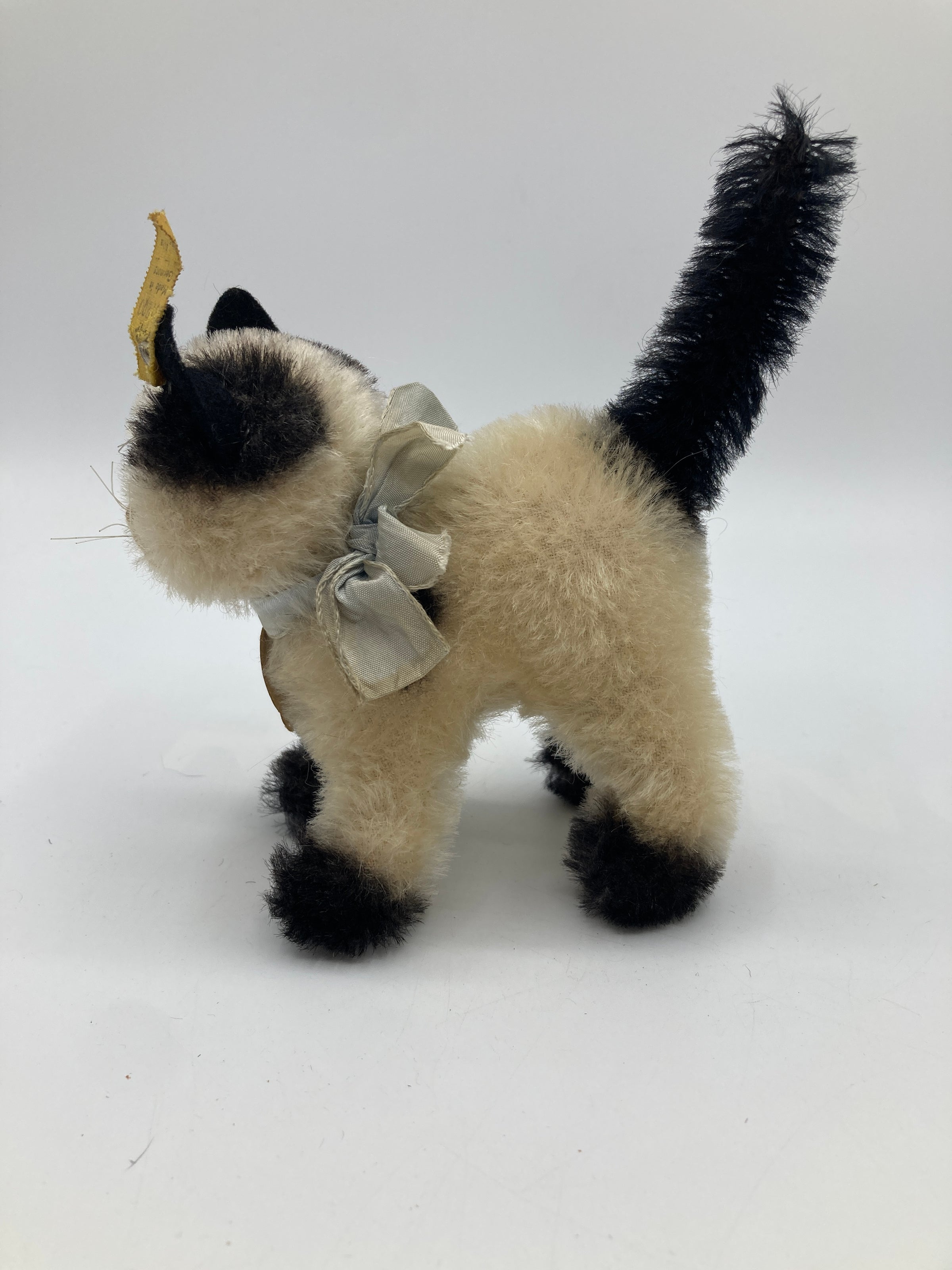 Steiff Small Gussy Cat With All IDs | My Site