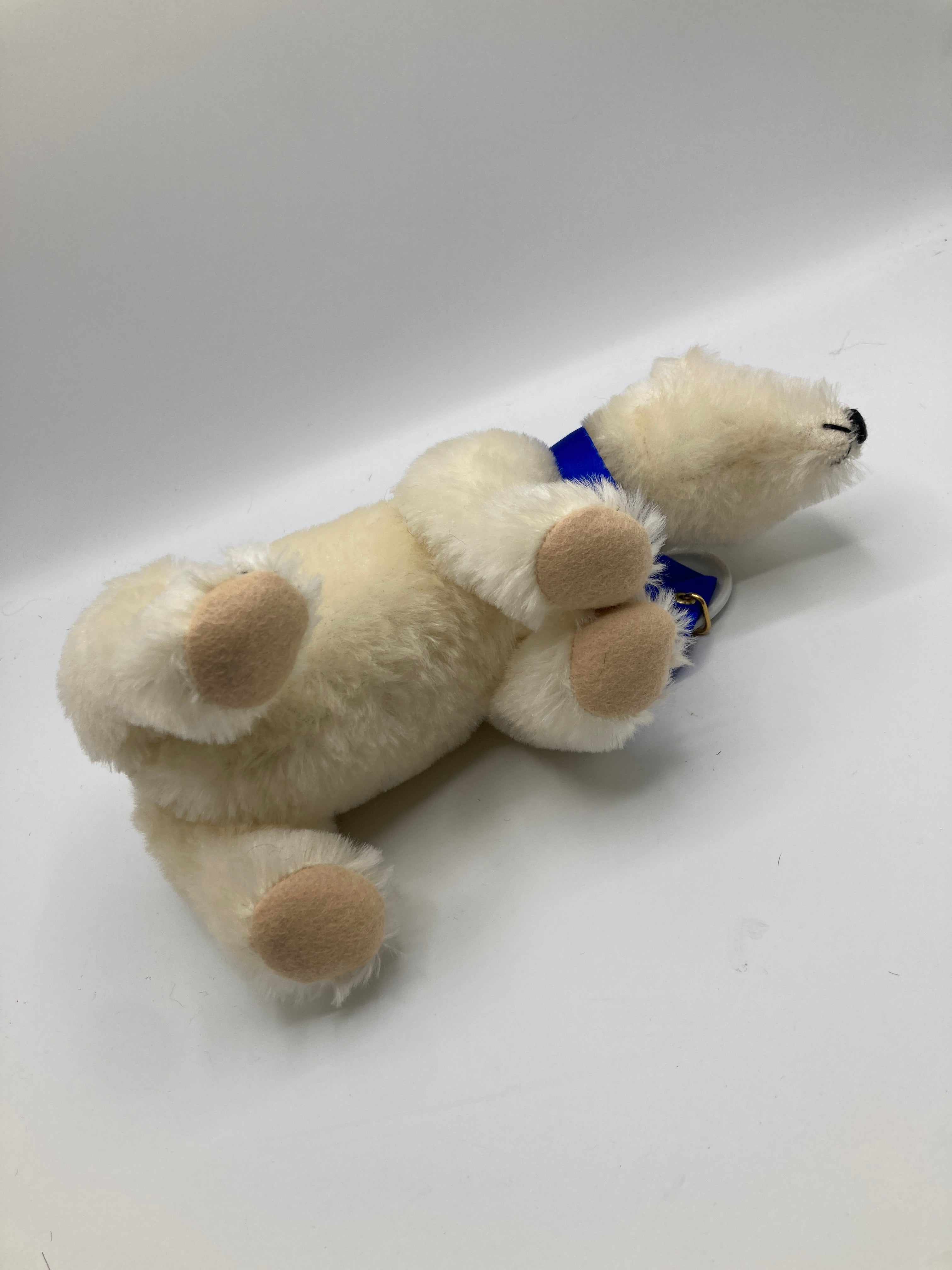 Steiff Polar The Titanic Bear With All IDs | My Site