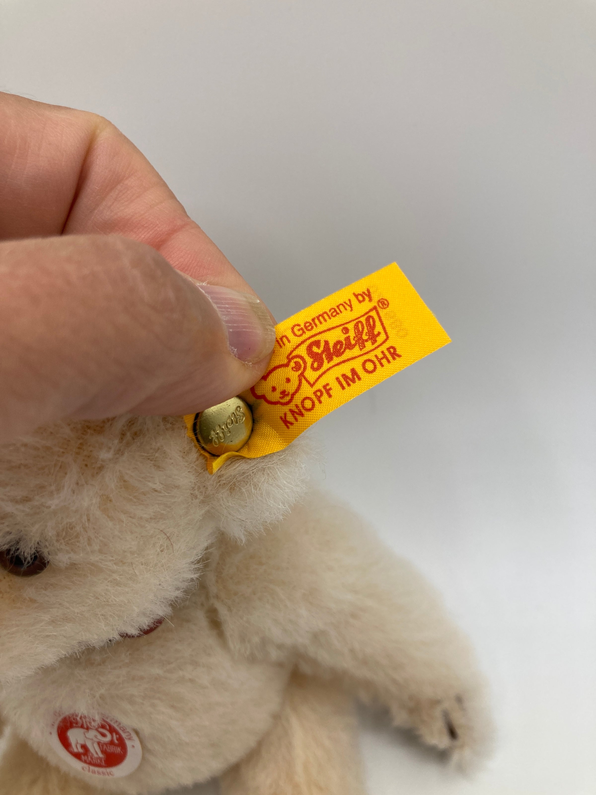 Steiff Cream Alpaca Teddy Bear With All IDs | My Site