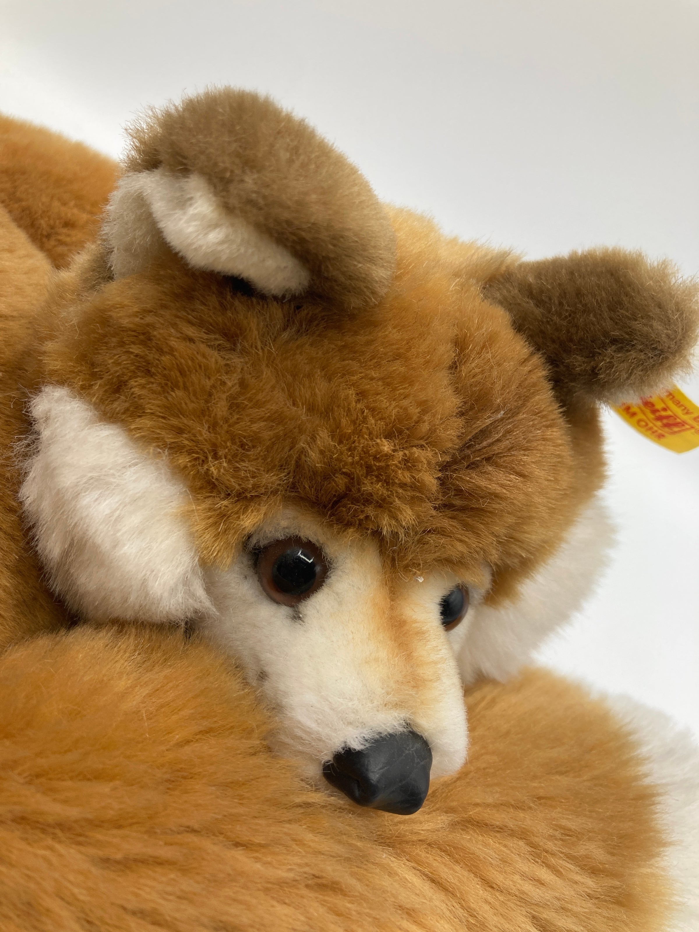 Steiff シュタイフ Xorry ぬいぐるみ Steiff's Soft Plush Curled Up Xorry Fox With All IDs | My Site