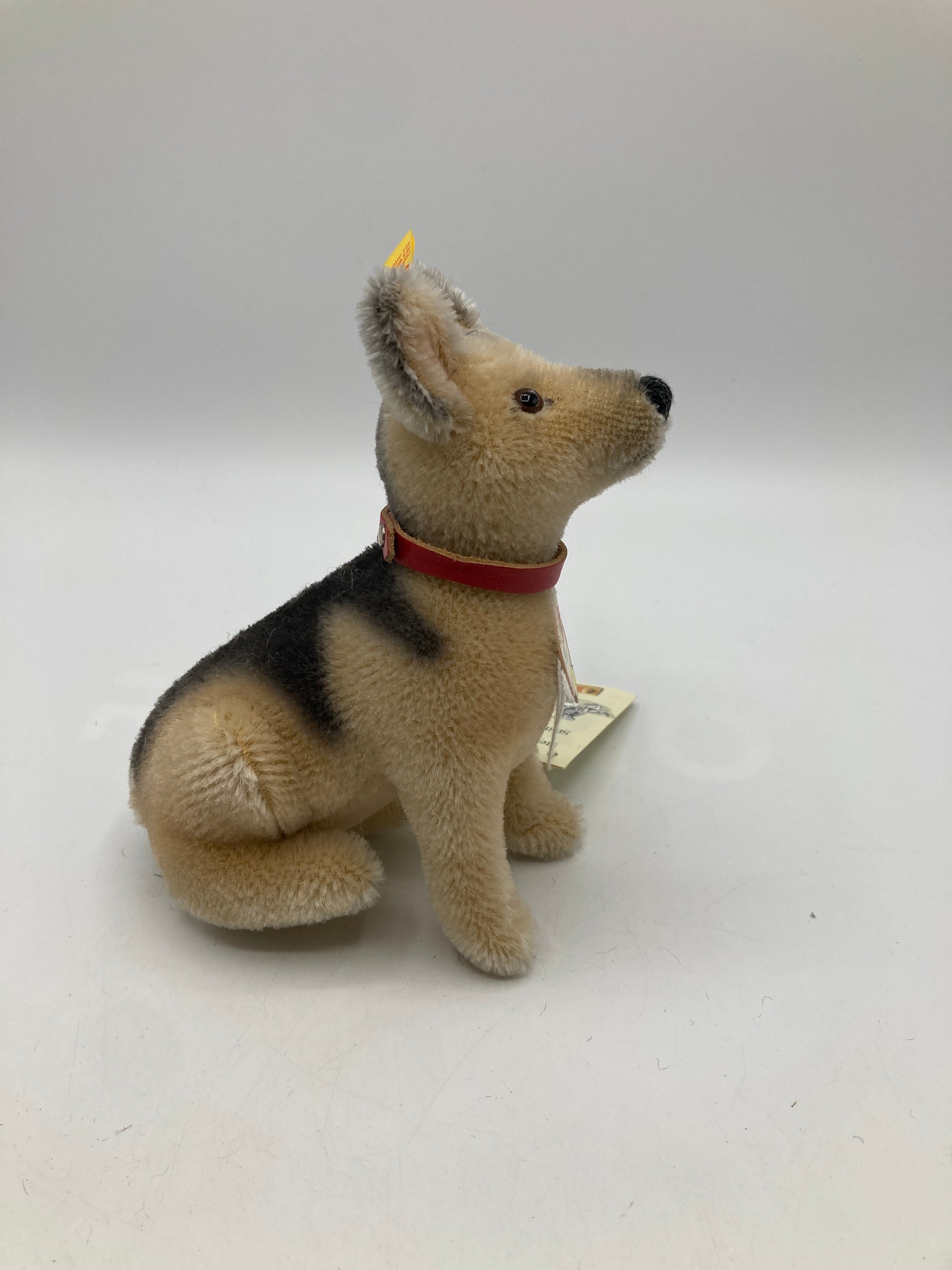 Steiff Mohair 1936 German Shepherd Dog With All IDs | My Site
