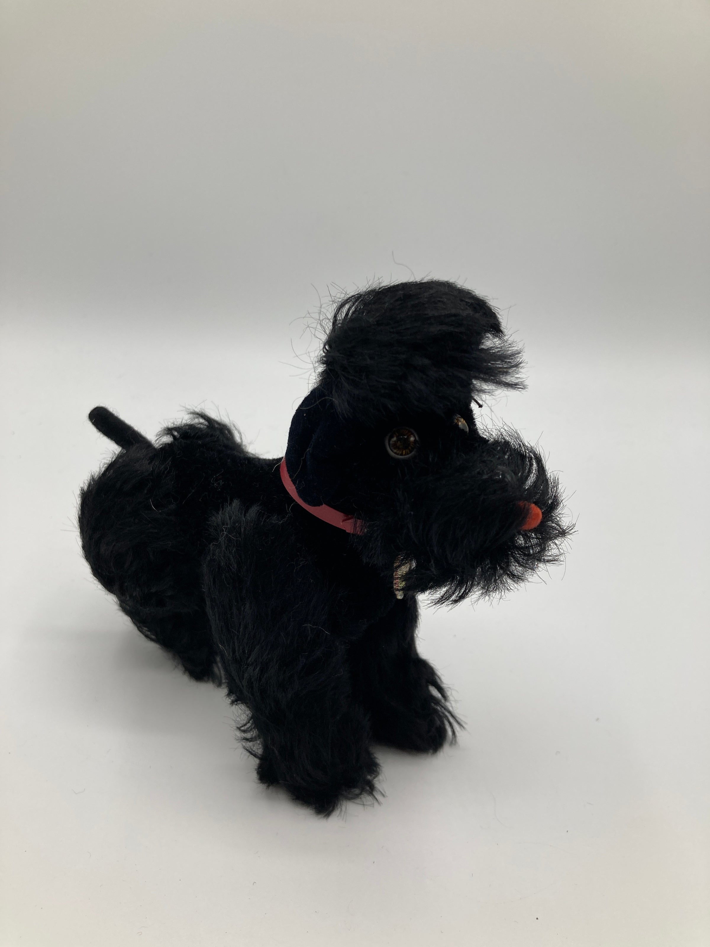 Steiff Smaller Black Mohair Snobby Poodle With All IDs | My Site