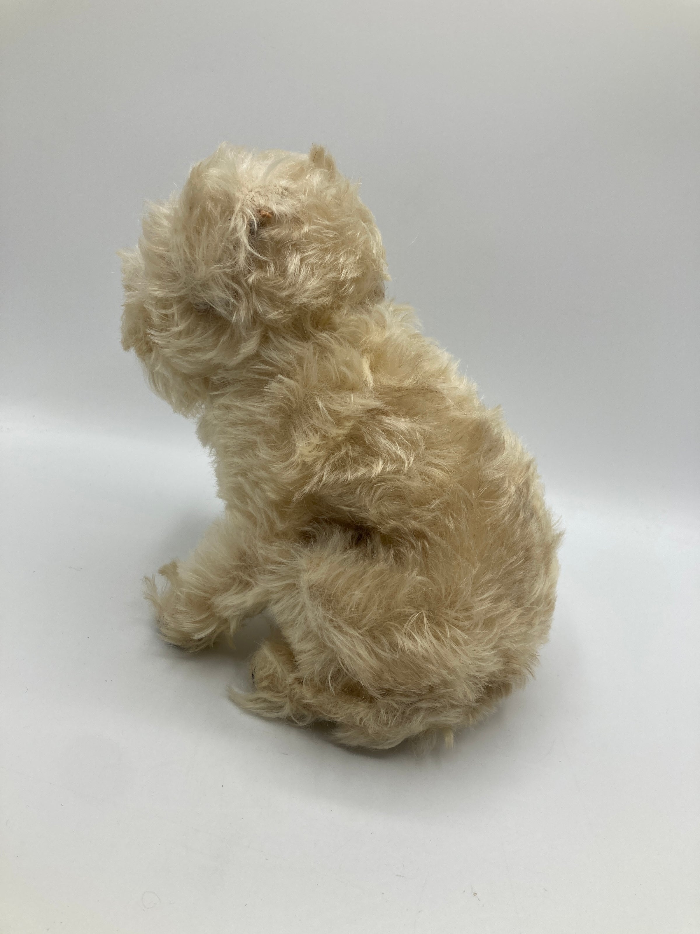 Steiff Prewar Molly The Puppy Dog With IDs | My Site