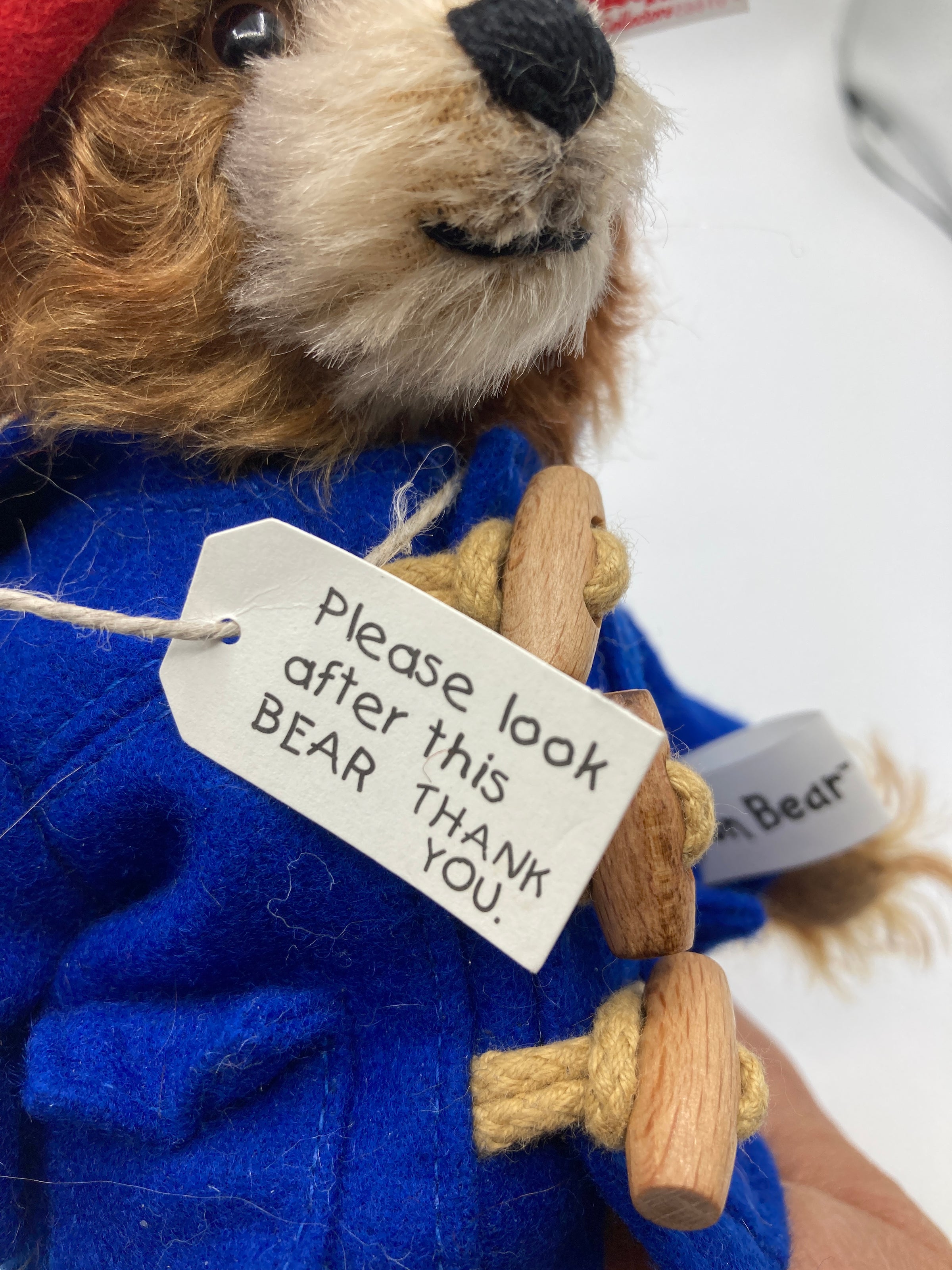 Steiff Mohair Paddington Bear With All IDs | My Site