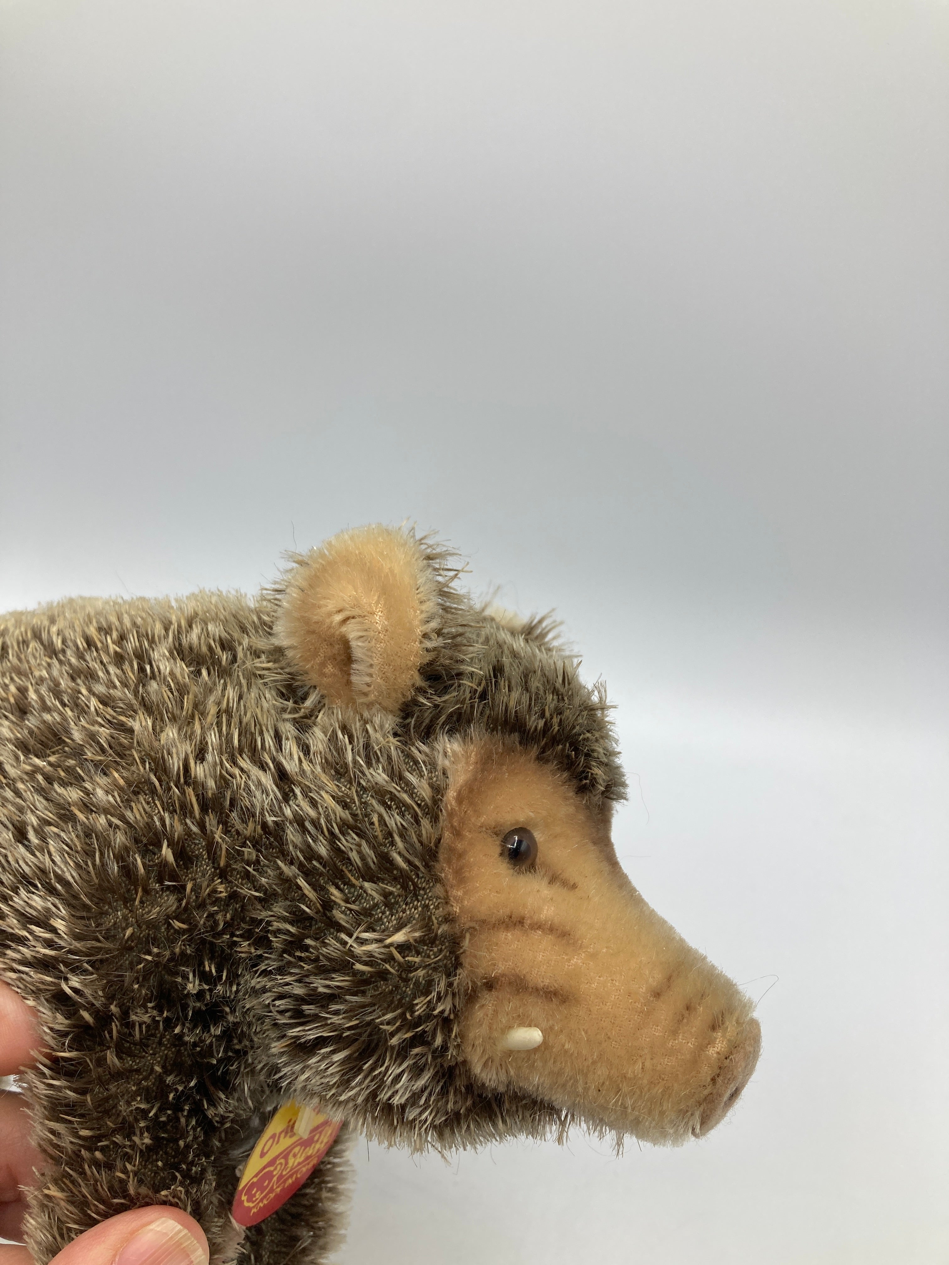 Steiff Medium Mohair Adult Wild Boar With All IDs | My Site
