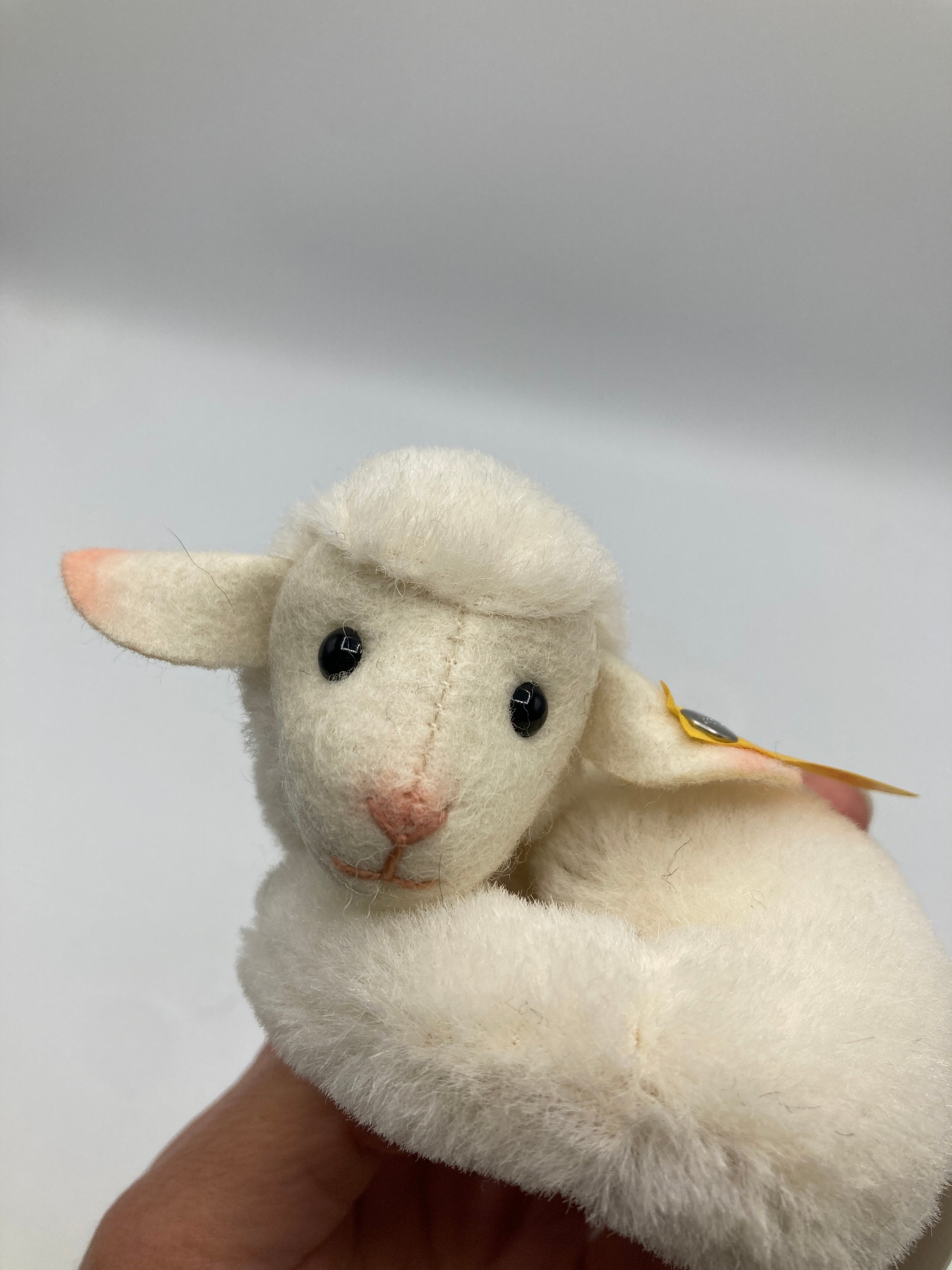 Steiff Mini Lamby Lamb With All IDs | My Site