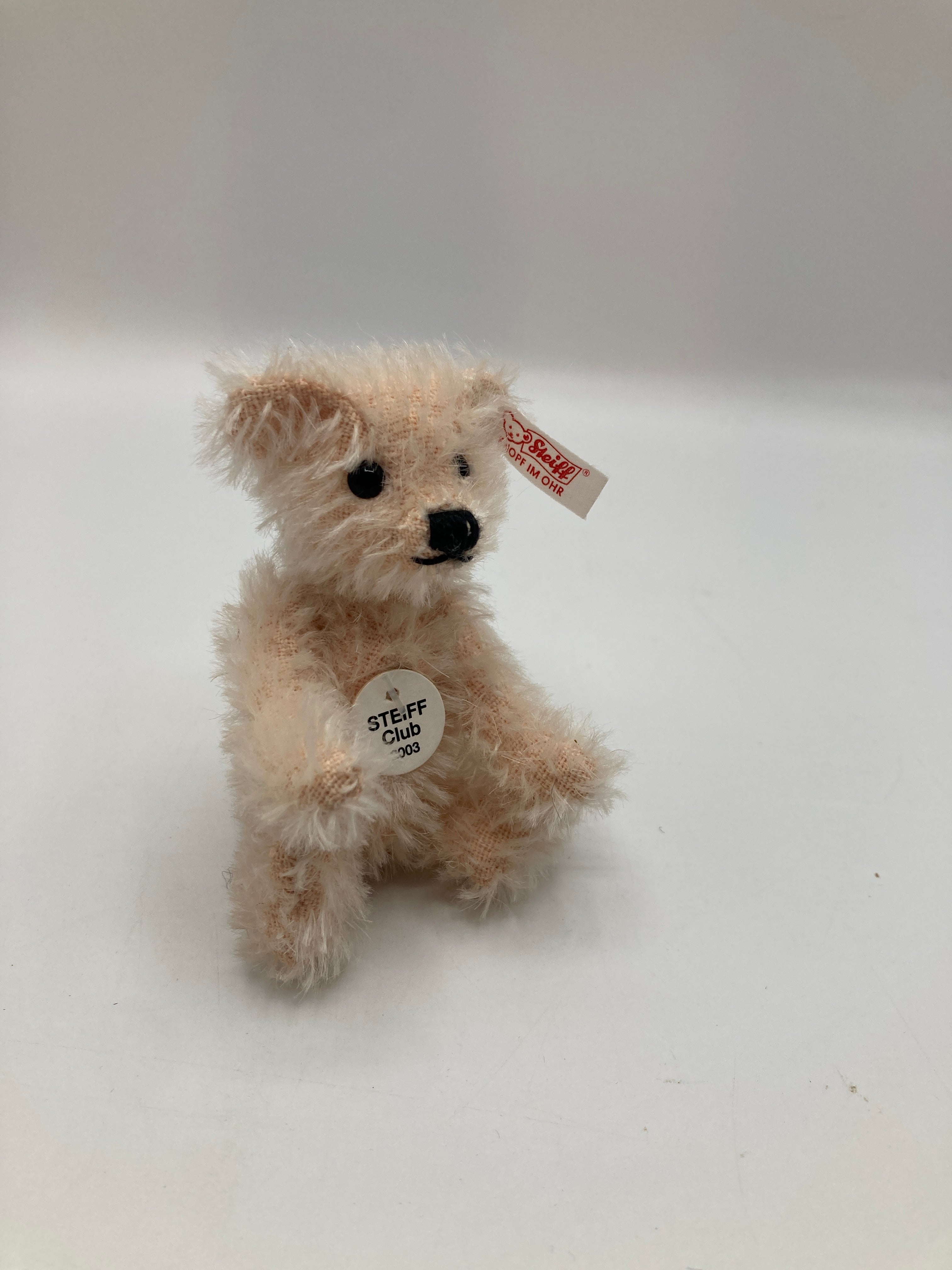 Steiff Fully Jointed Tiny 2003 Steiff Club Bear With All IDs | My Site