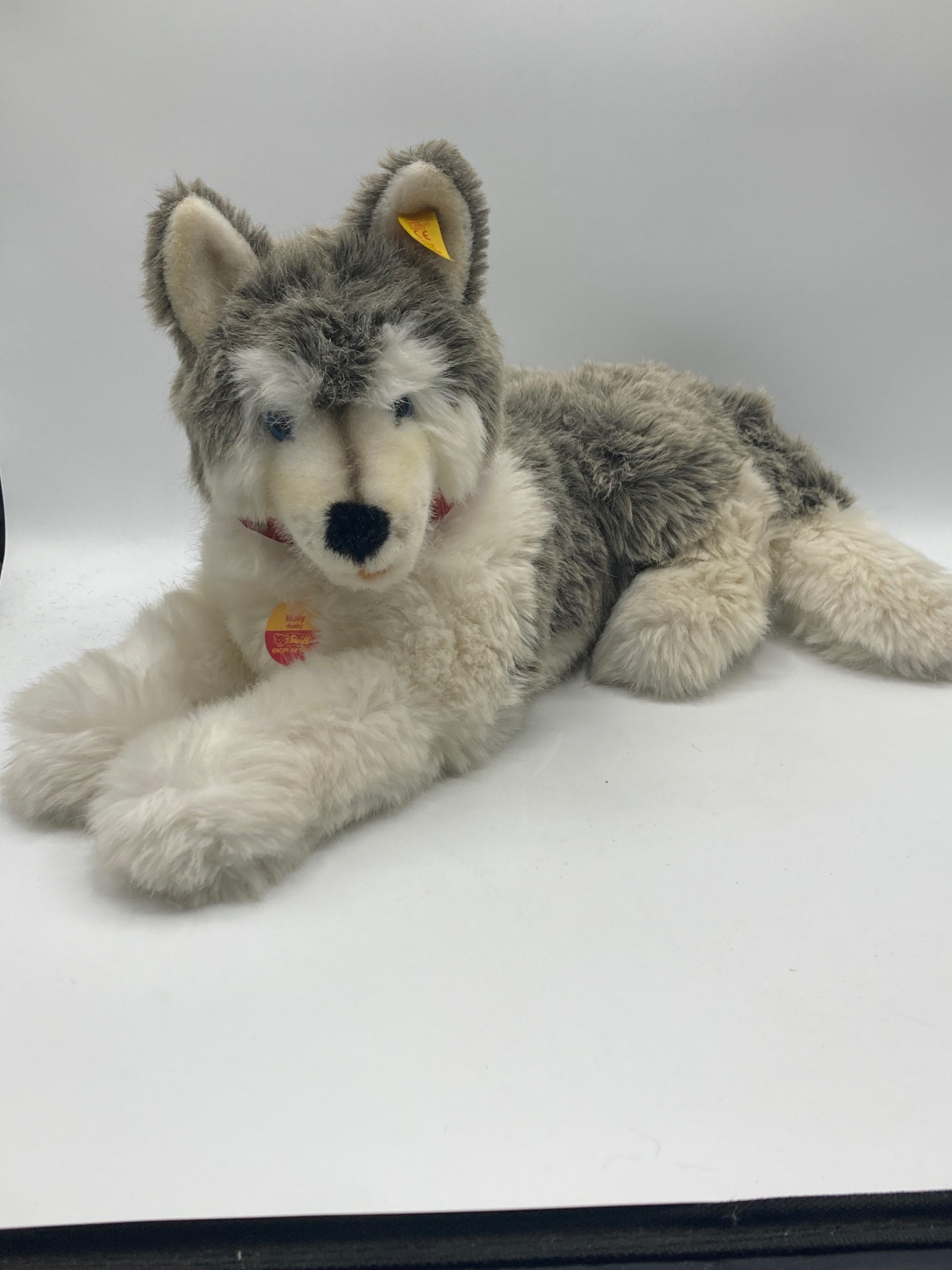 Steiff シュタイフ シベリアンハスキー Molly Husky　オールID Steiff Husky Bernie Soft Plush Dog With All IDs | My Site