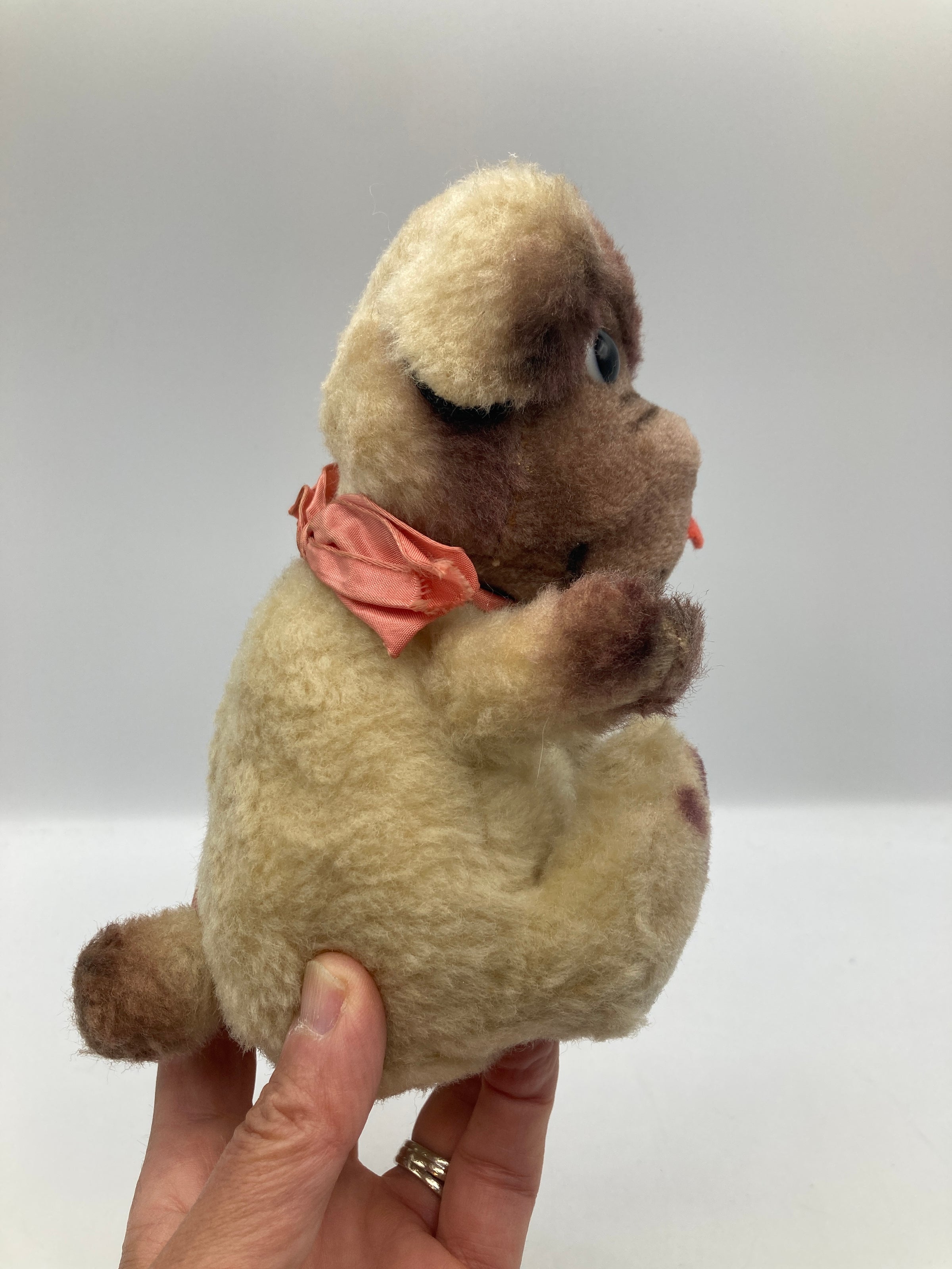Steiff Ball Mopsy Pug Dog With All IDs | My Site