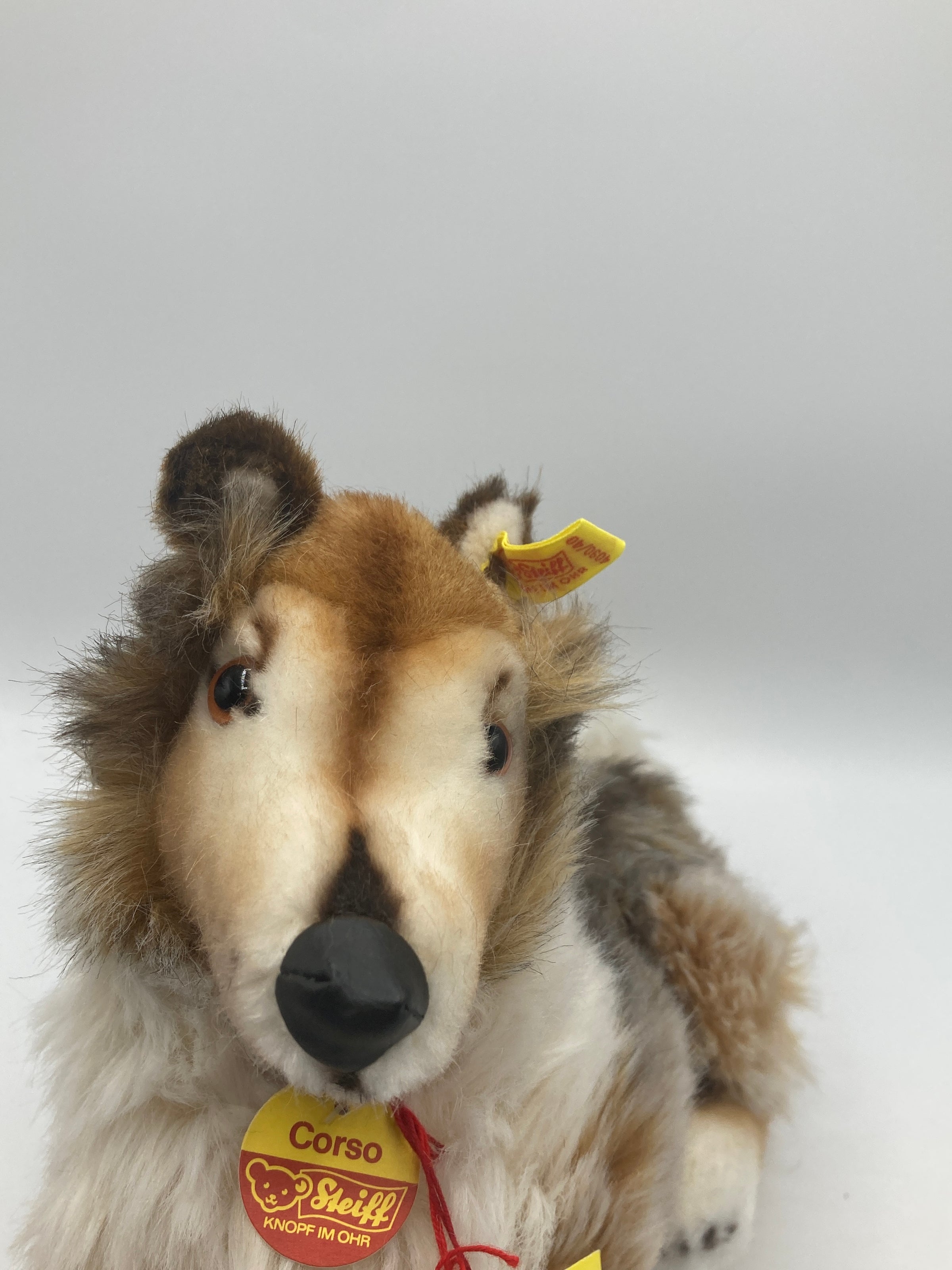 Steiff's Corso Lying Collie Dog With All IDs From The Steiff