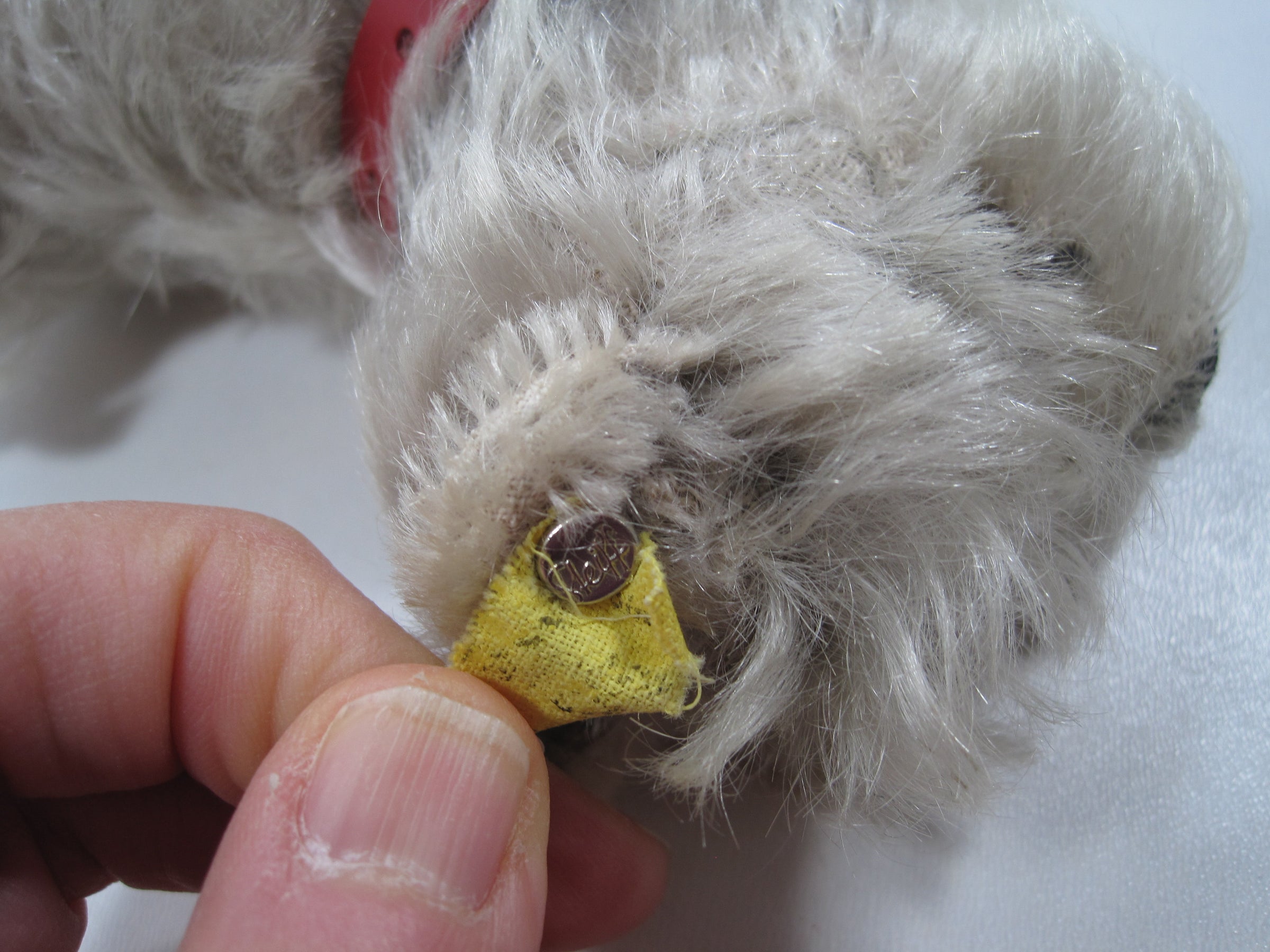 Steiff Medium Tessie Schnauzer Dog With All IDs | My Site