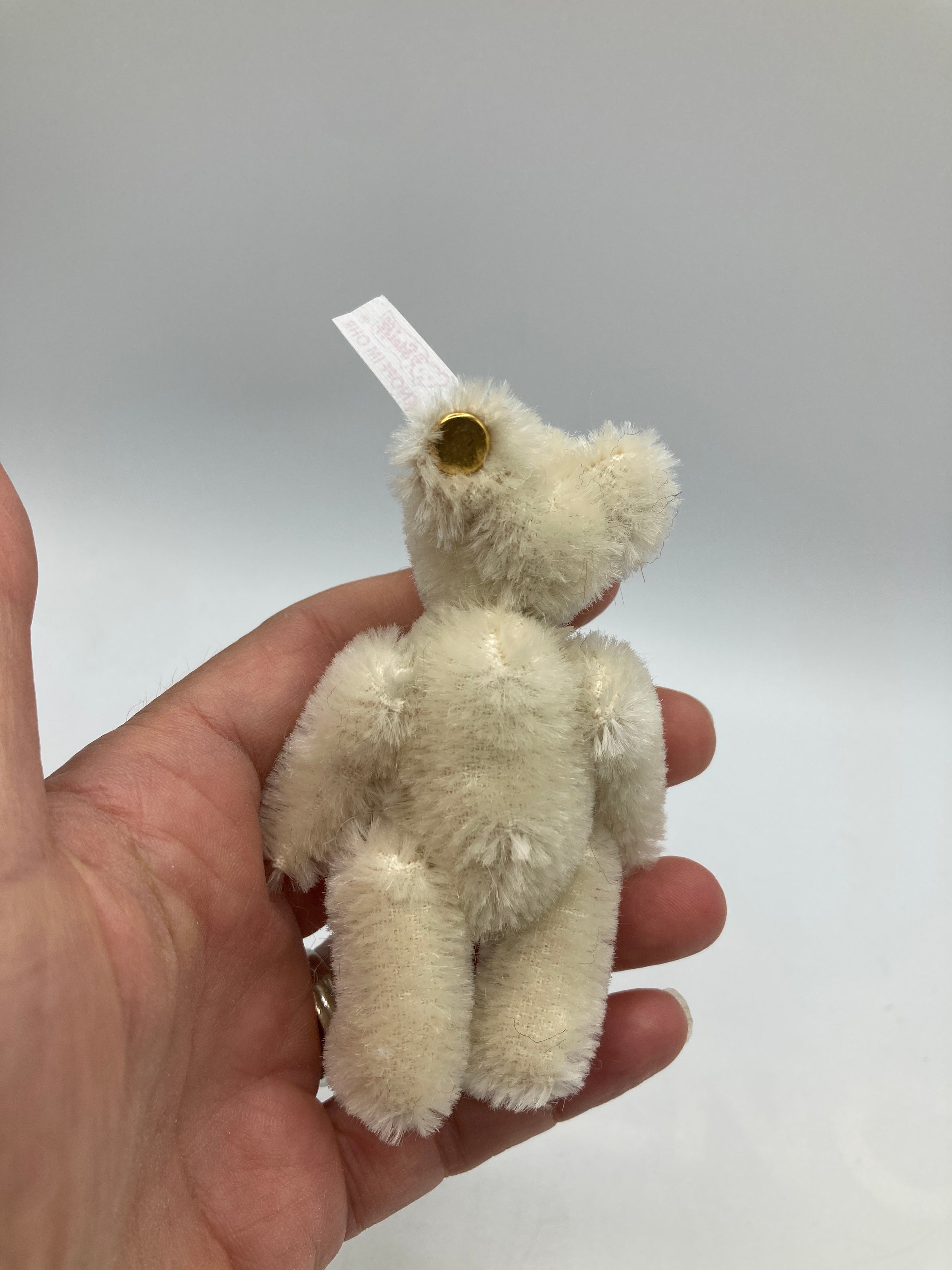 アンティーク雑貨 STEIFF  TEDDYBEAR 2001 Steiff Fully Jointed Tiny 2001 Steiff Club Bear With All IDs | My Site