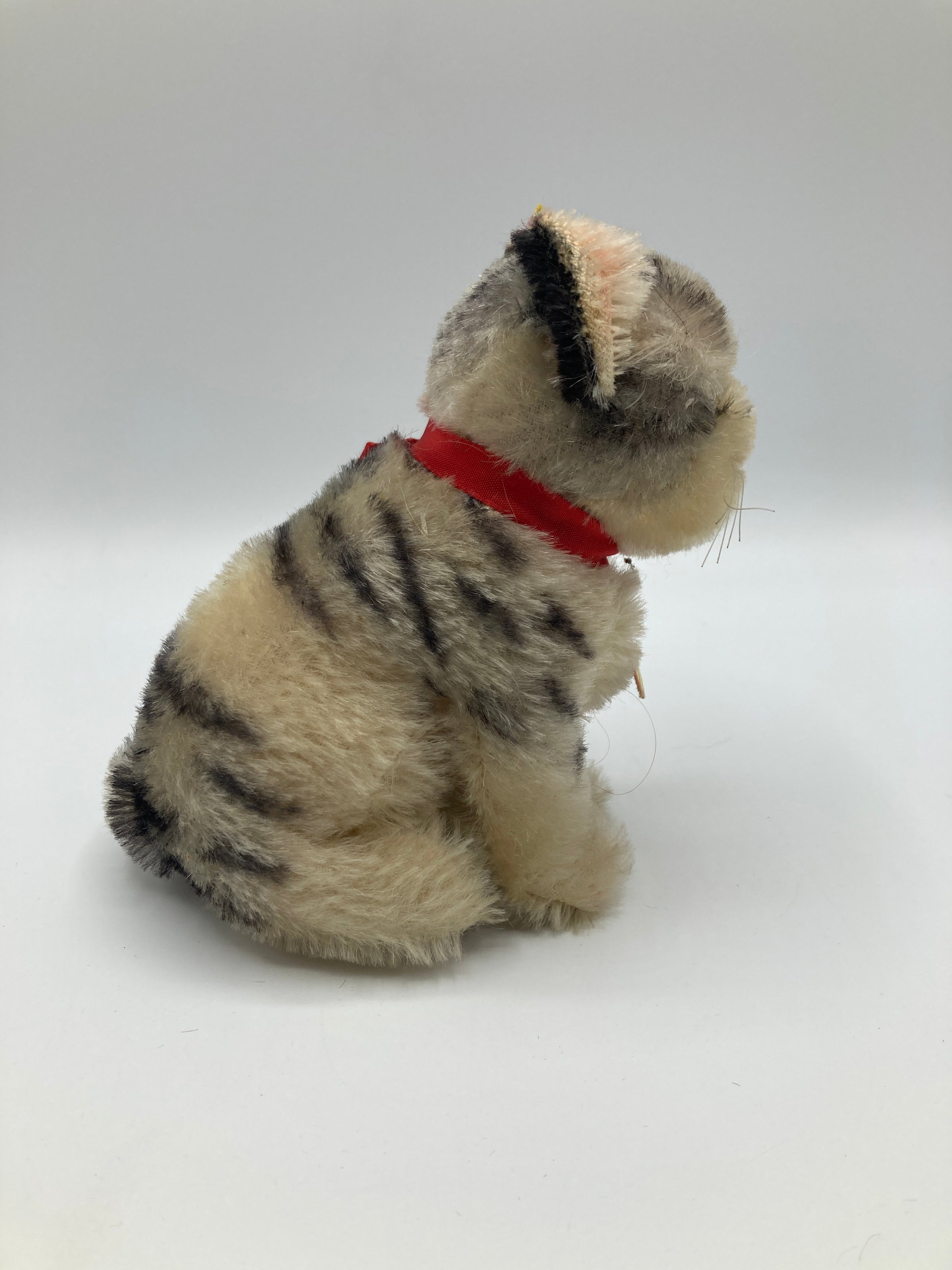 Steiff Medium Sitting Susi Cat With All IDs | My Site