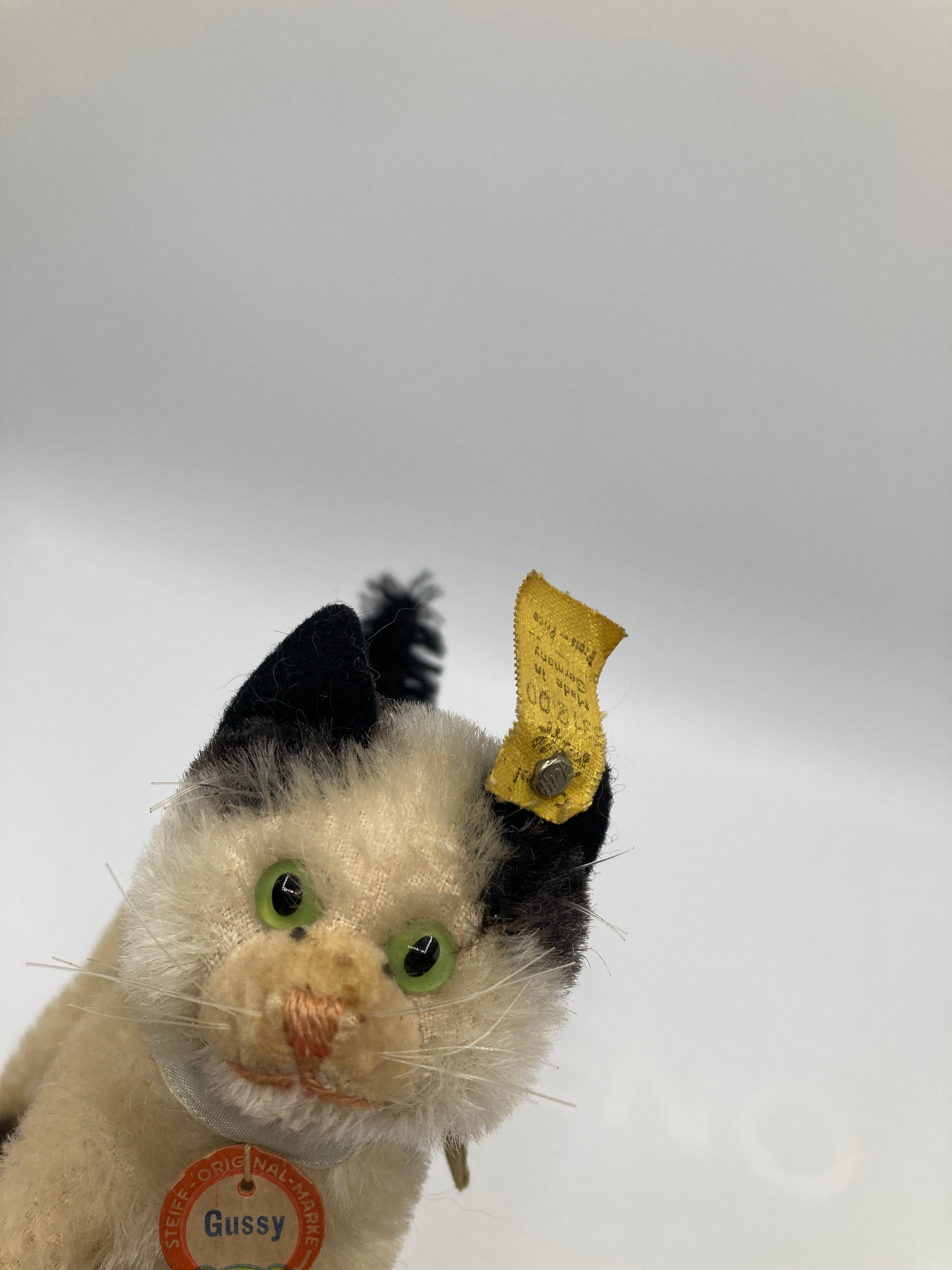 Steiff Small Gussy Cat With All IDs | My Site