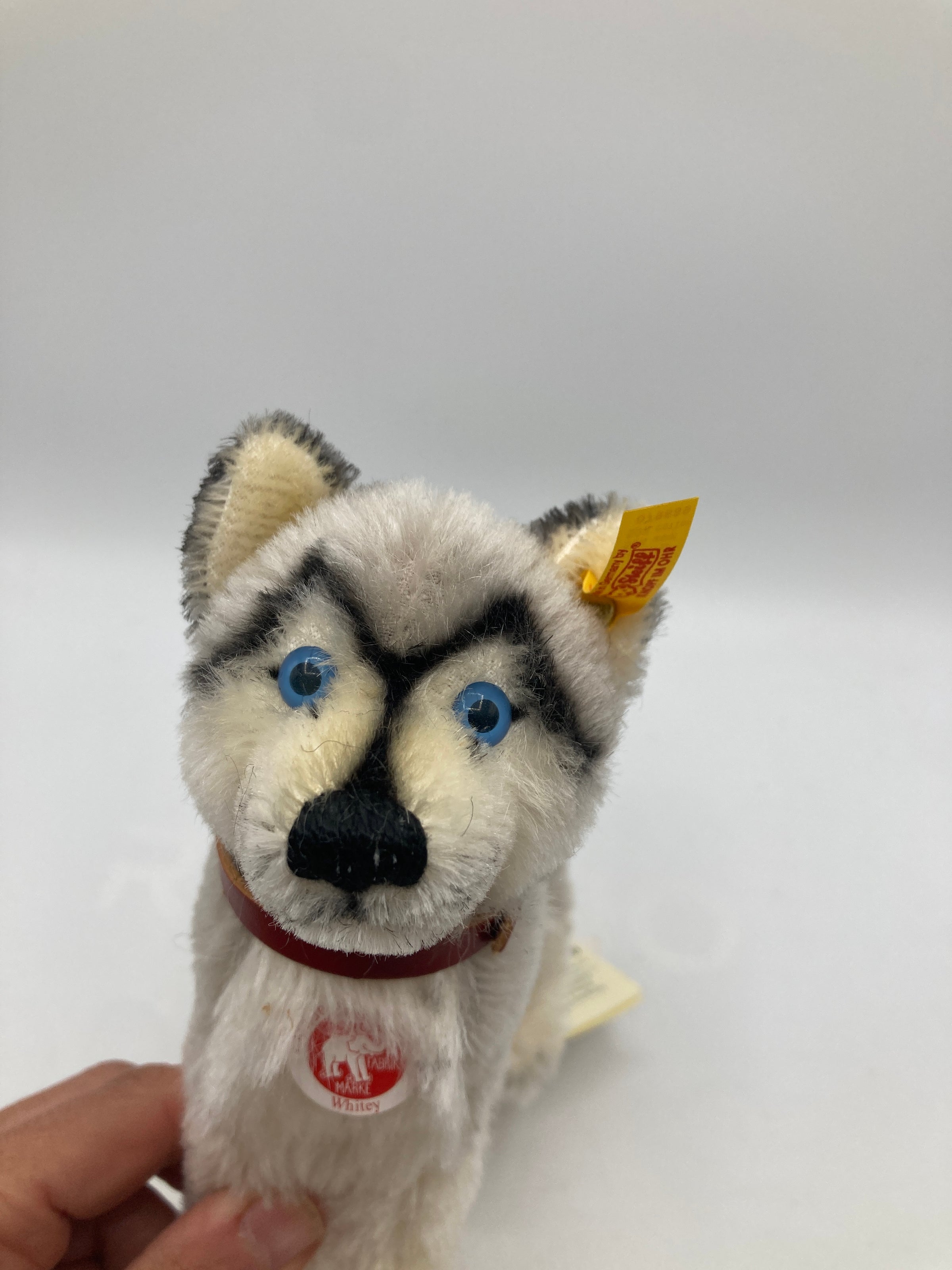 Steiff Mohair White and Grey Whitey Husky Dog with All IDs | My Site