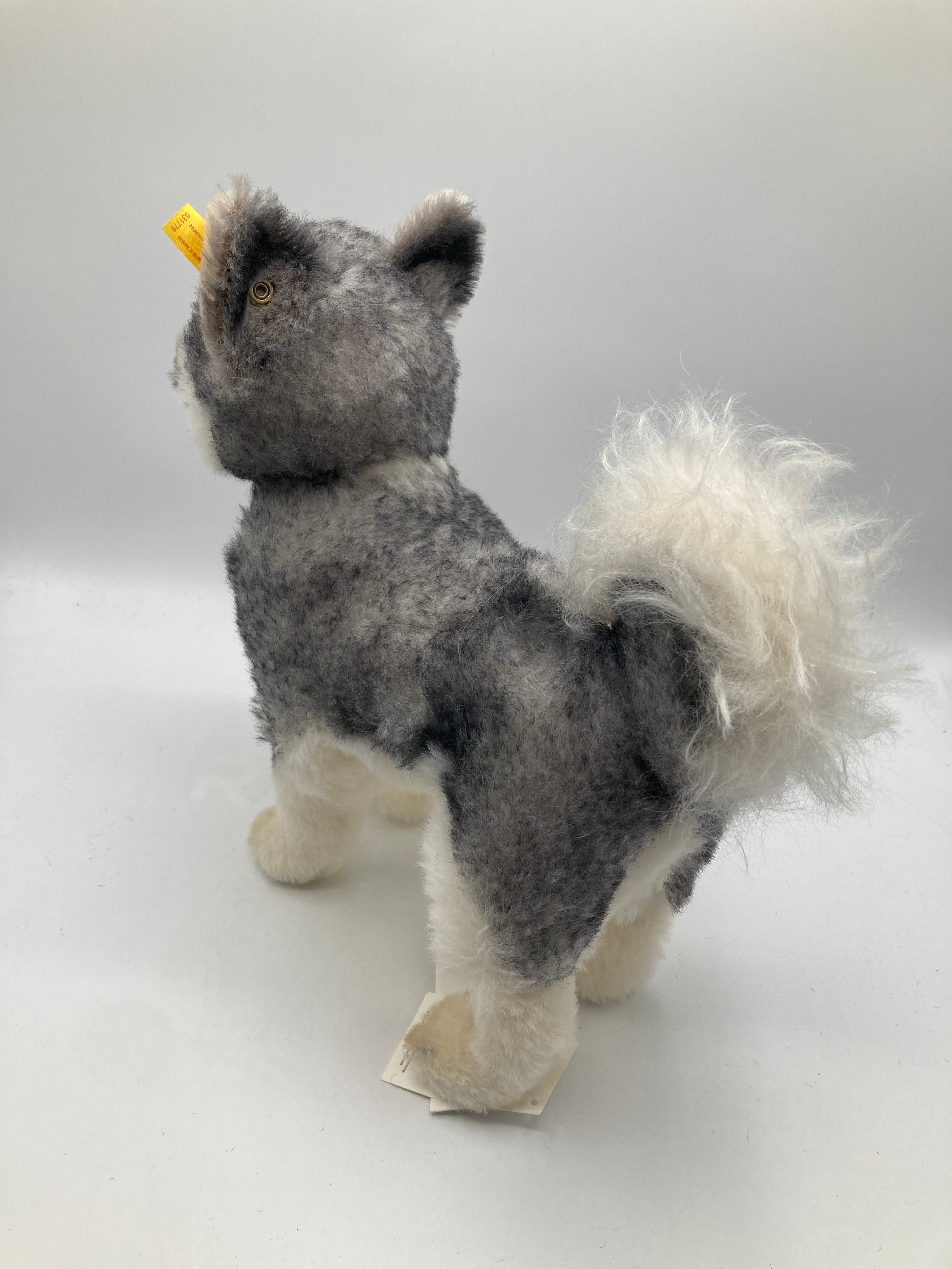 Steiff Hasso Husky Alpaca Dog with All IDs | My Site