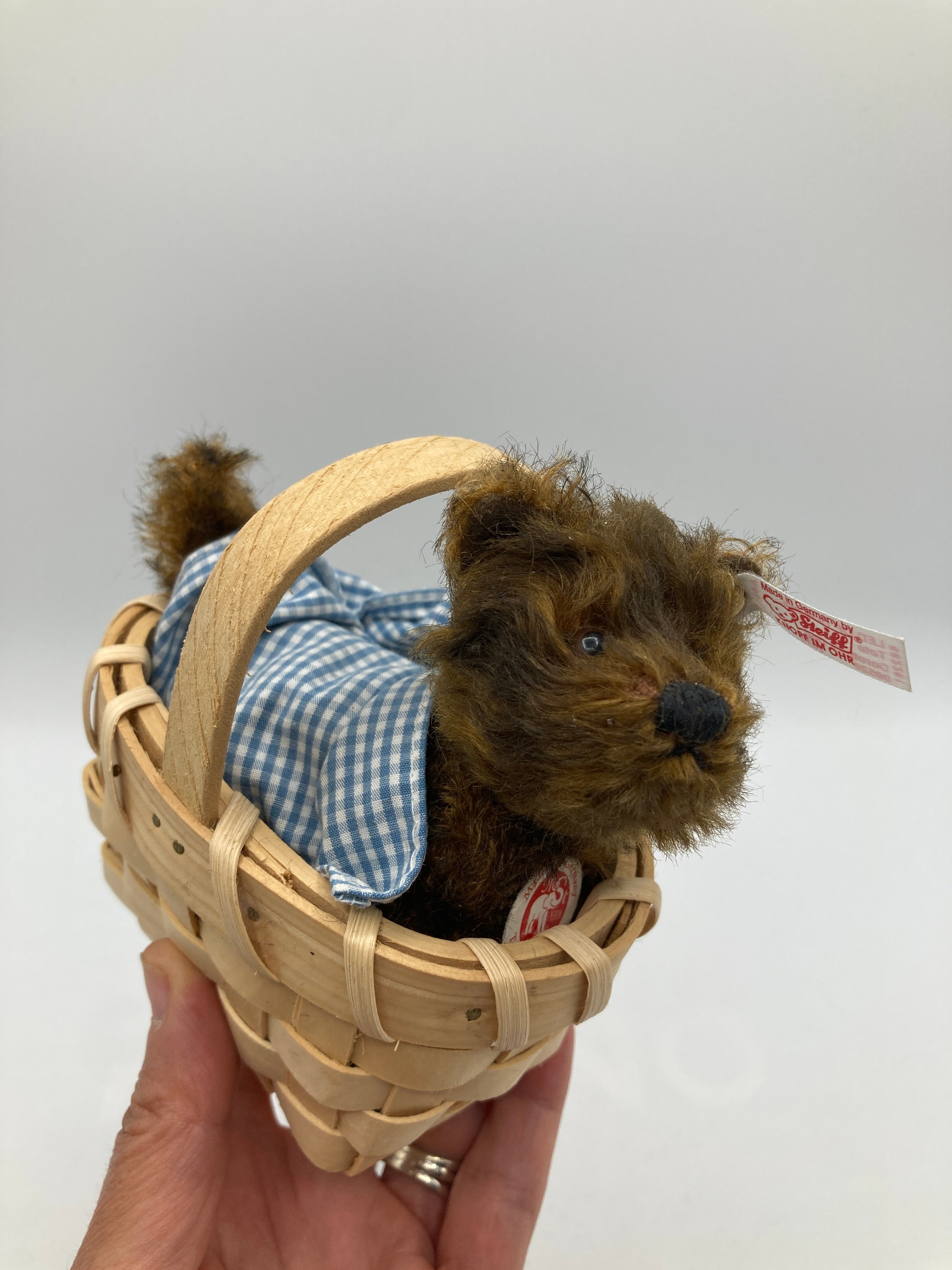 Steiff EXTREMELY RARE Mohair Wizard of Oz Toto Dog With All IDs