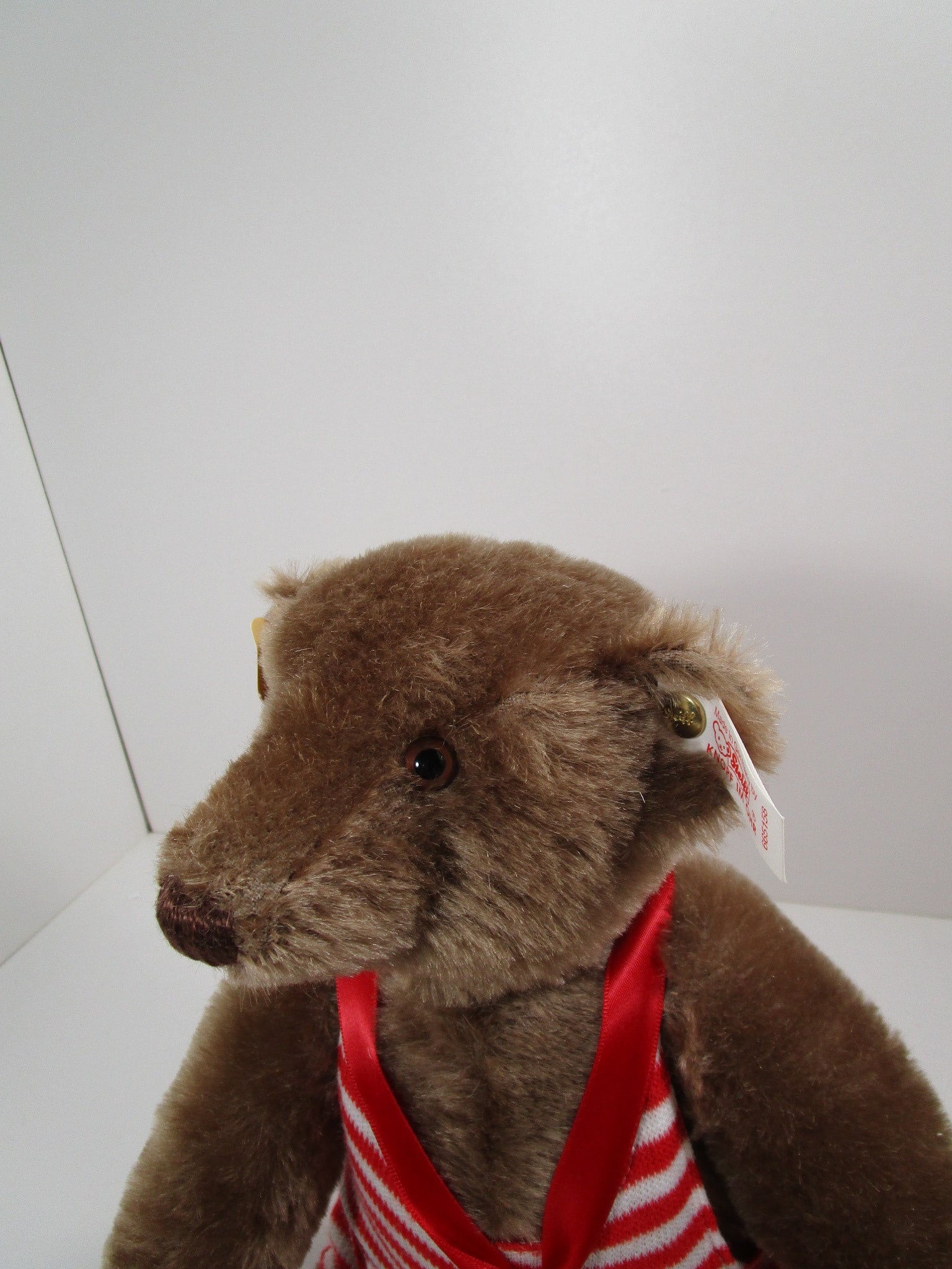 Steiff Exclusive Wiggins Bear With All IDs For The Teddy Bear