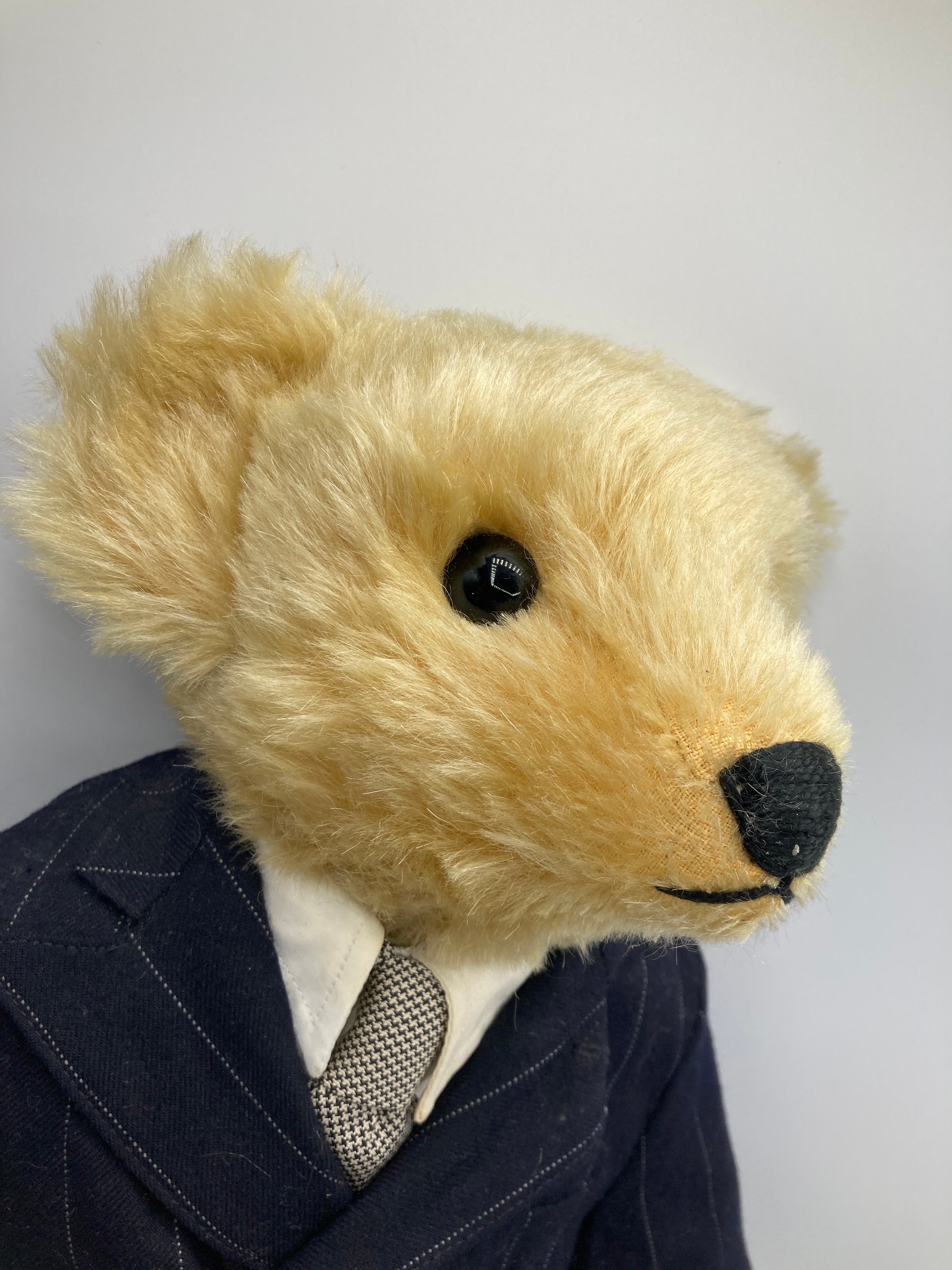 Steiff Ralph Lauren Chairman of the Board Bear With All IDs | My Site